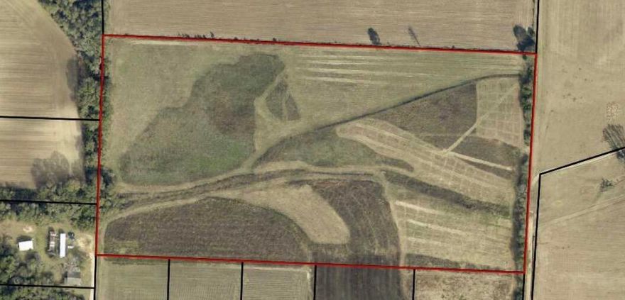 Discover 20 beautiful Acres in the North Milton area with AG-RR - Rural Residential Agriculture zoning and highly desirable cropland class two soils. This versatile property offers endless potential for a private or multiple home site, homestead, farm or investment. Enjoy peaceful rural surroundings while still being conveniently located near Milton, Pace, I-10 and Avalon Blvd. Plenty of room to build, expand, and create your vision. Buyer to verify zoning, utilities, and intended use.