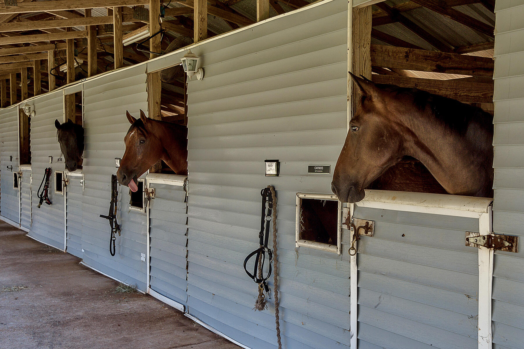 KELLY PLANTATION S/D - Residential