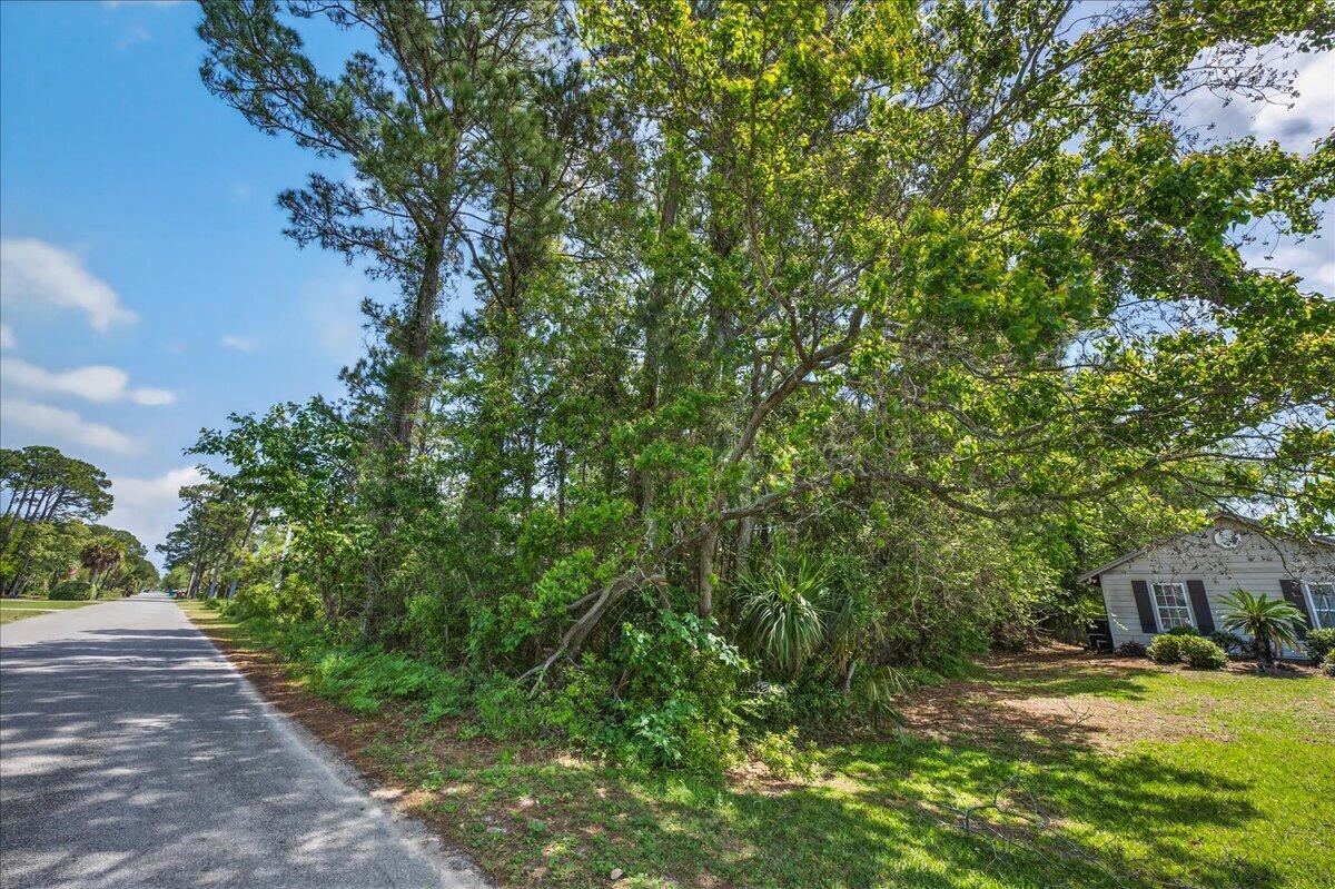 POLYNESIAN ISLANDS - Land