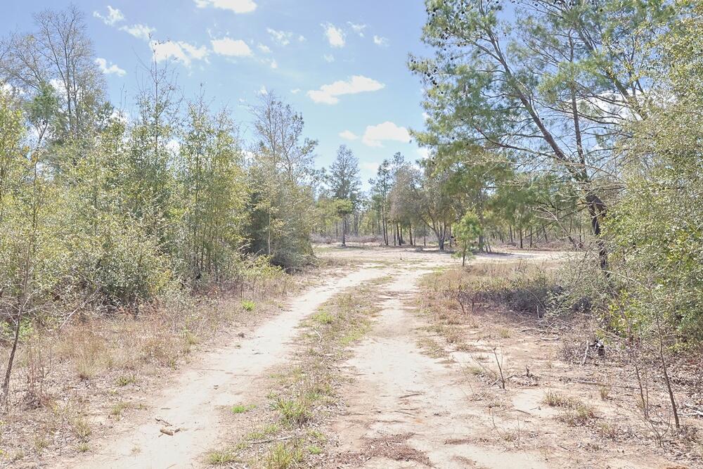SUGAR DUNES A CONDO - Land