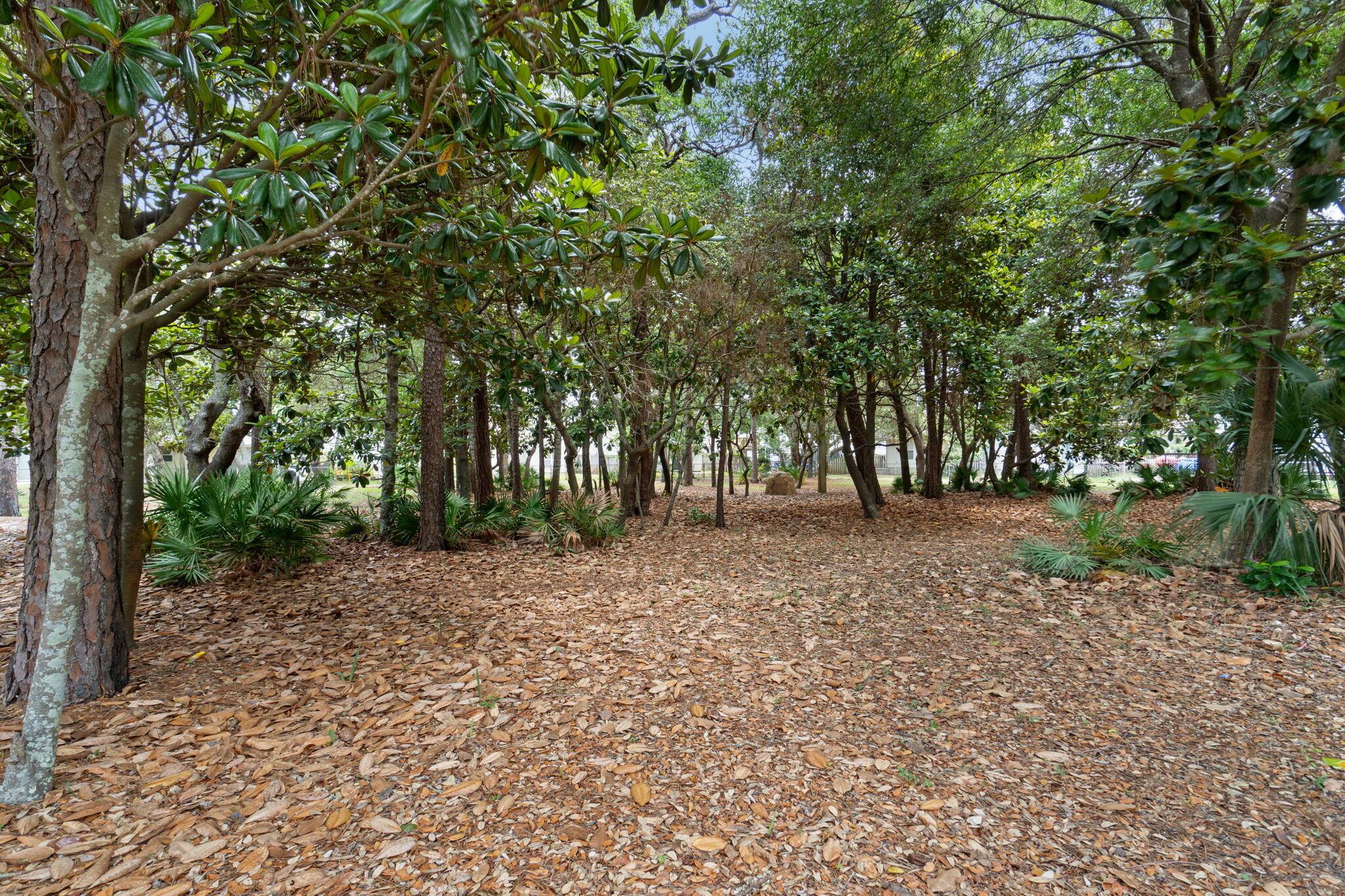 SHALIMAR COTTAGES - Residential