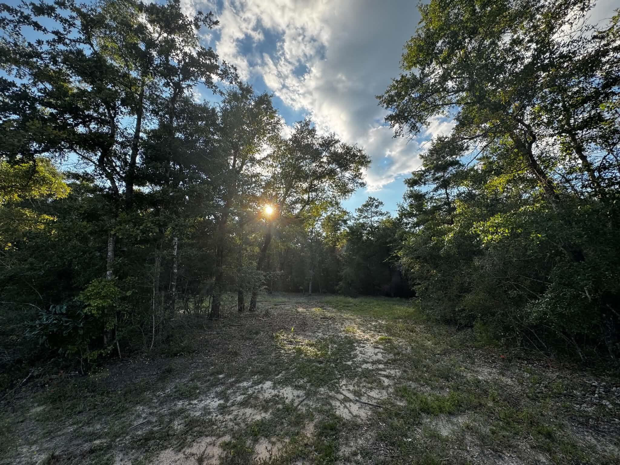 2.24 Acres JV Woolley Rd Road