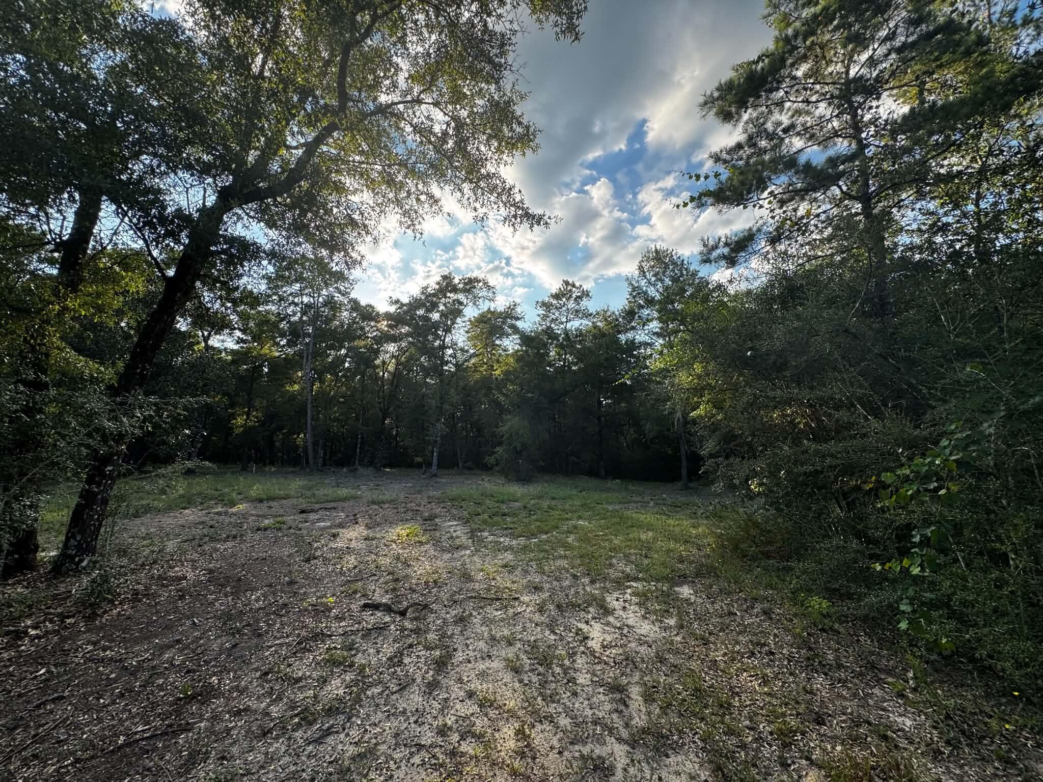 2.24 Acres JV Woolley Rd Road