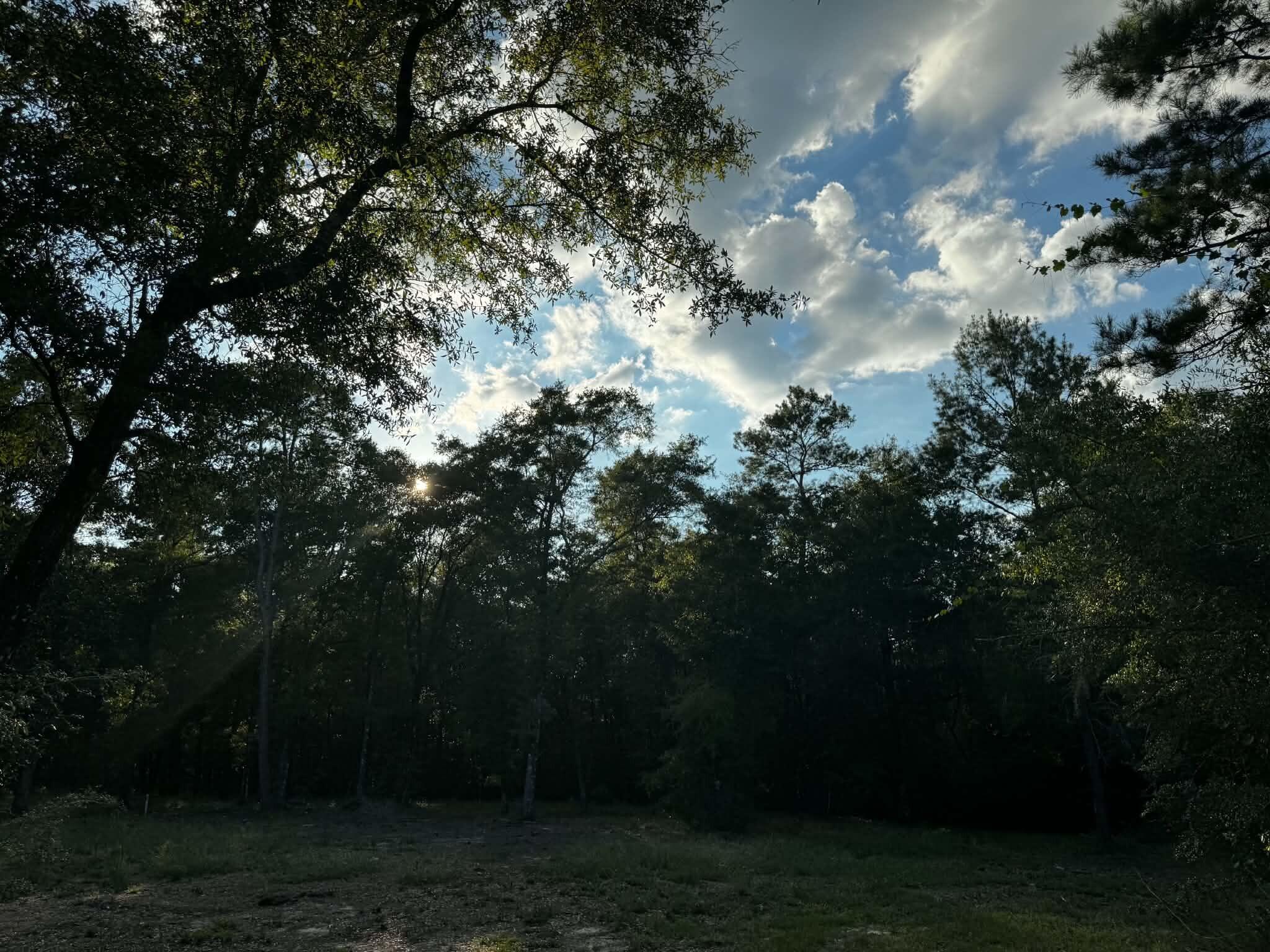 2.24 Acres JV Woolley Rd Road