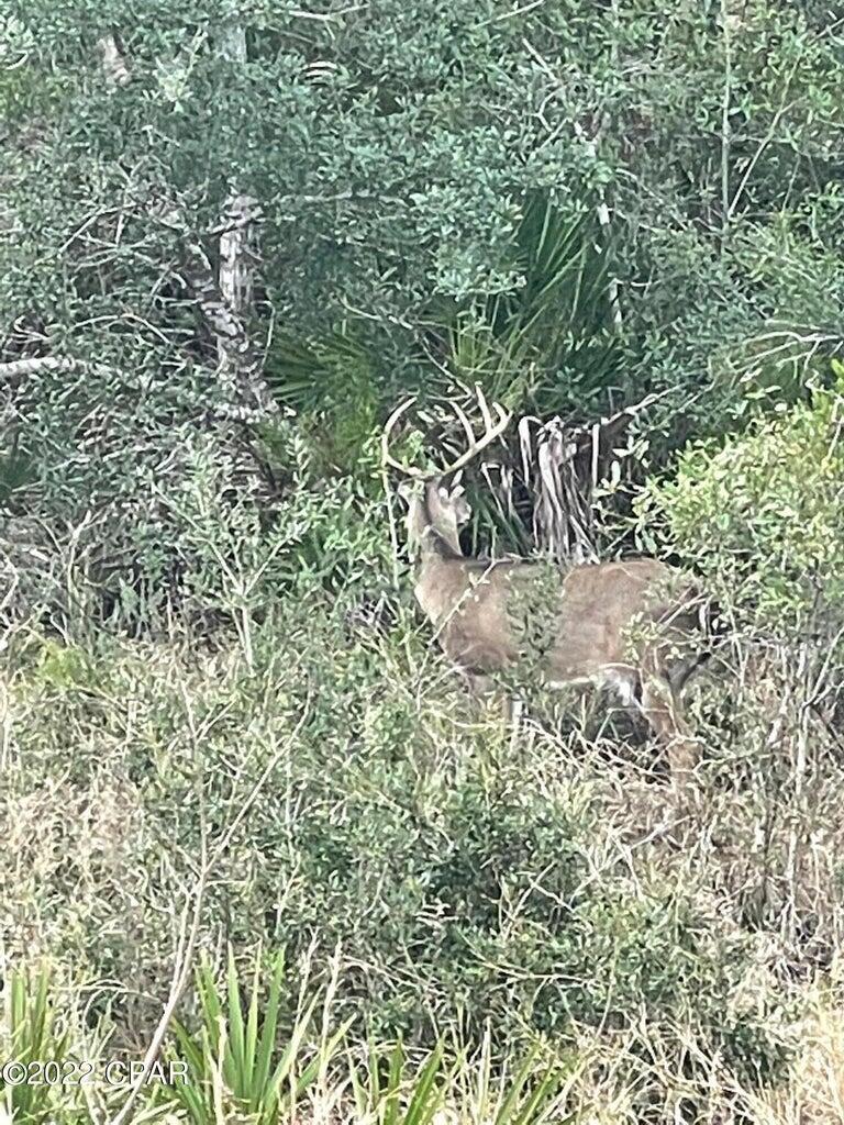 Sanctuary Beach - Residential