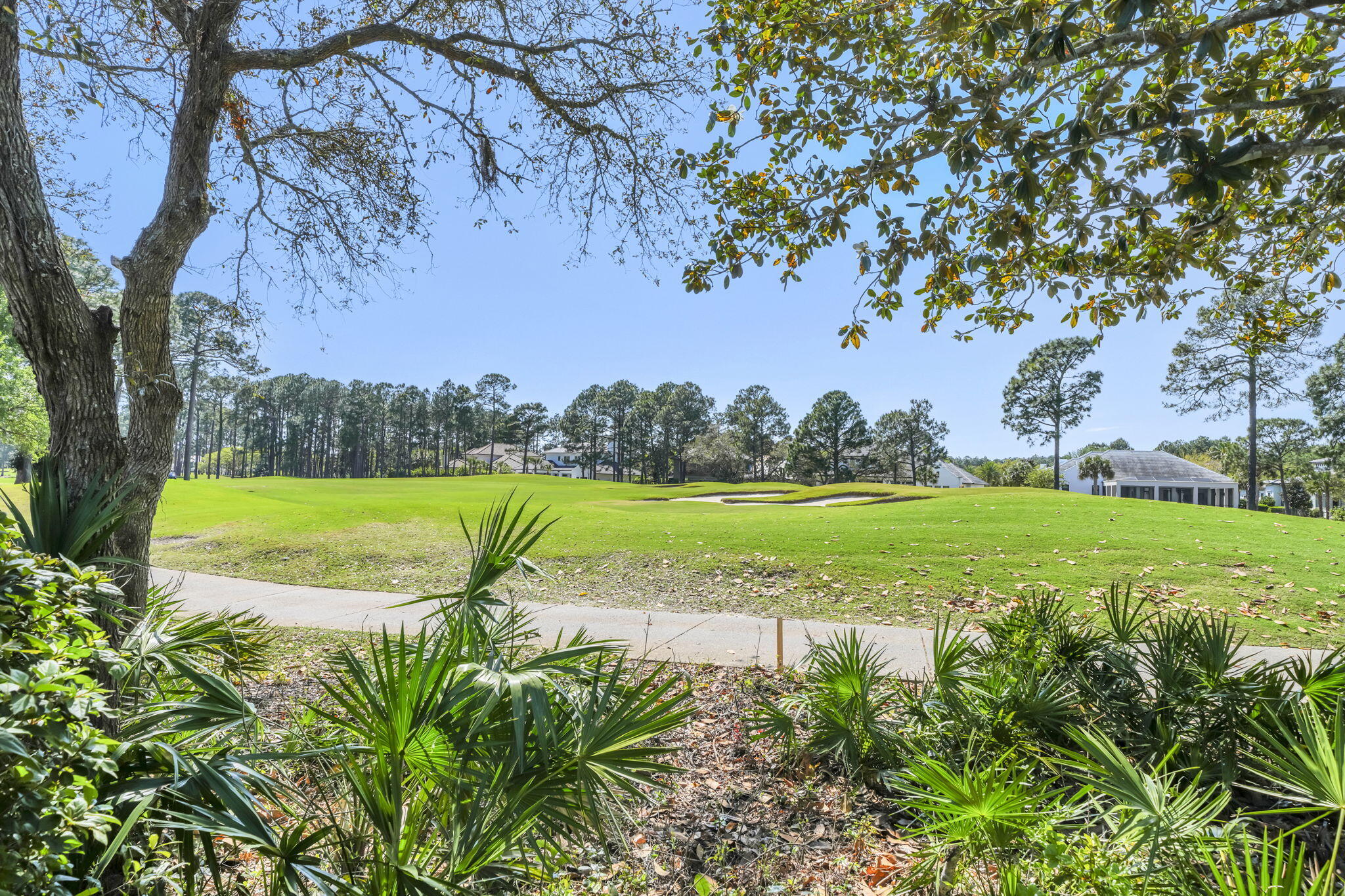 VINEYARD AT RAVEN OAKS - Residential