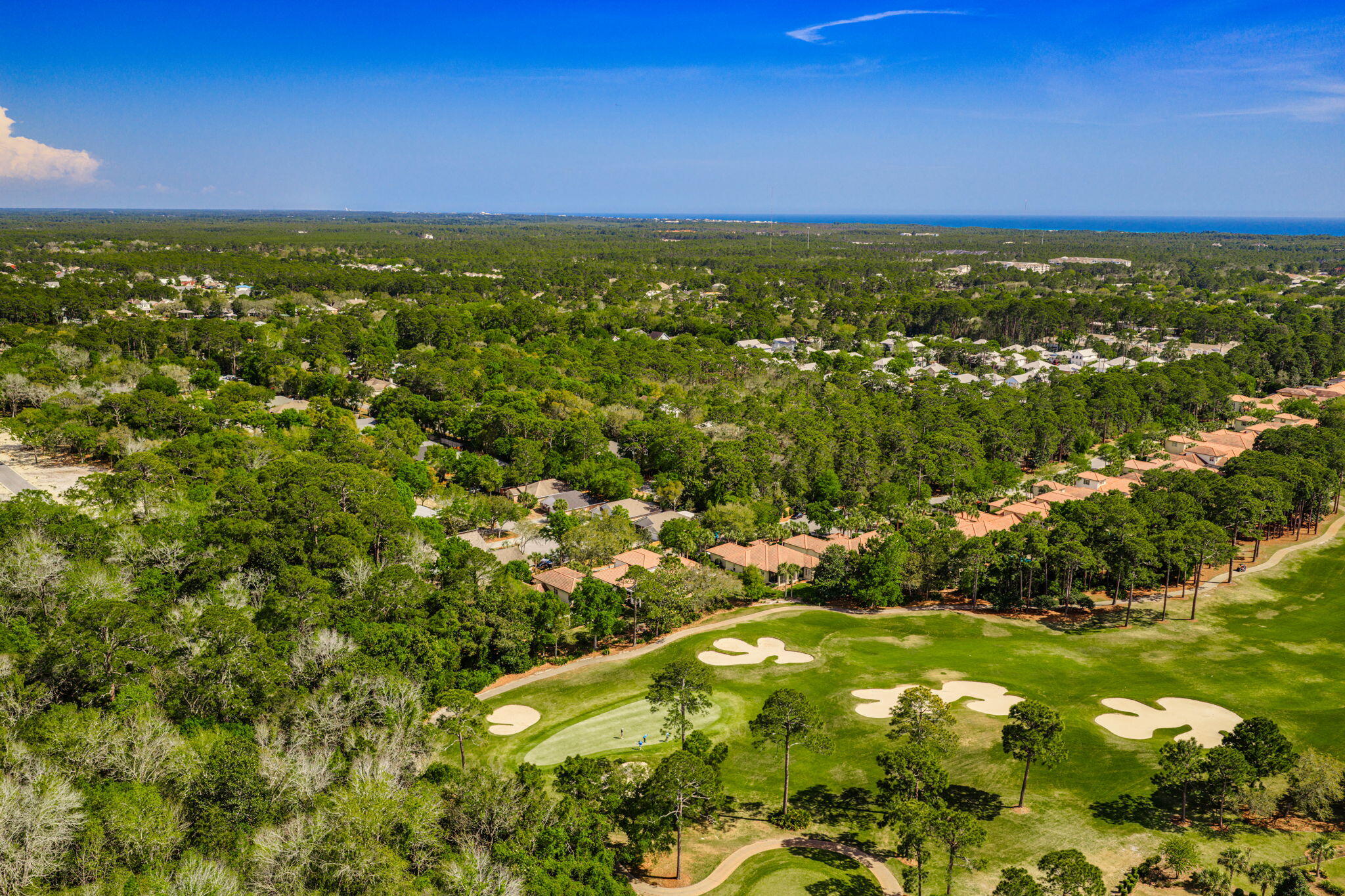 VINEYARD AT RAVEN OAKS - Residential