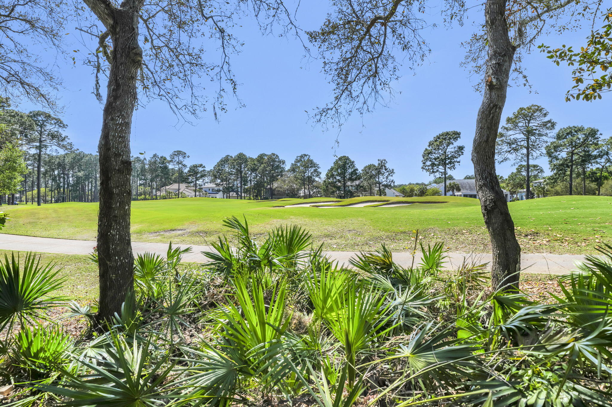 VINEYARD AT RAVEN OAKS - Residential