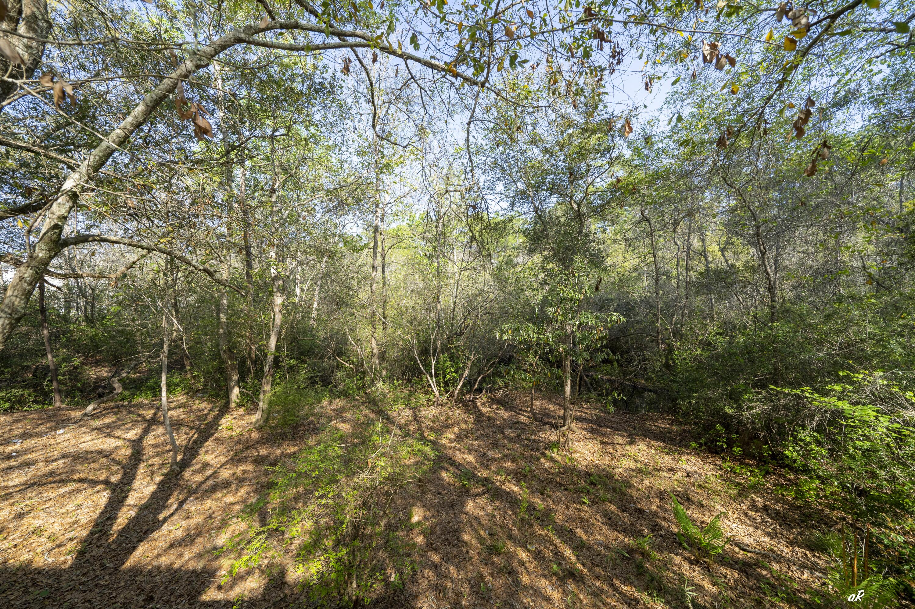 AUDUBON POINT - Residential
