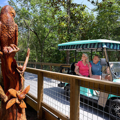 Latitude at Watersound
Latitude Margaritaville Watersound - Residential