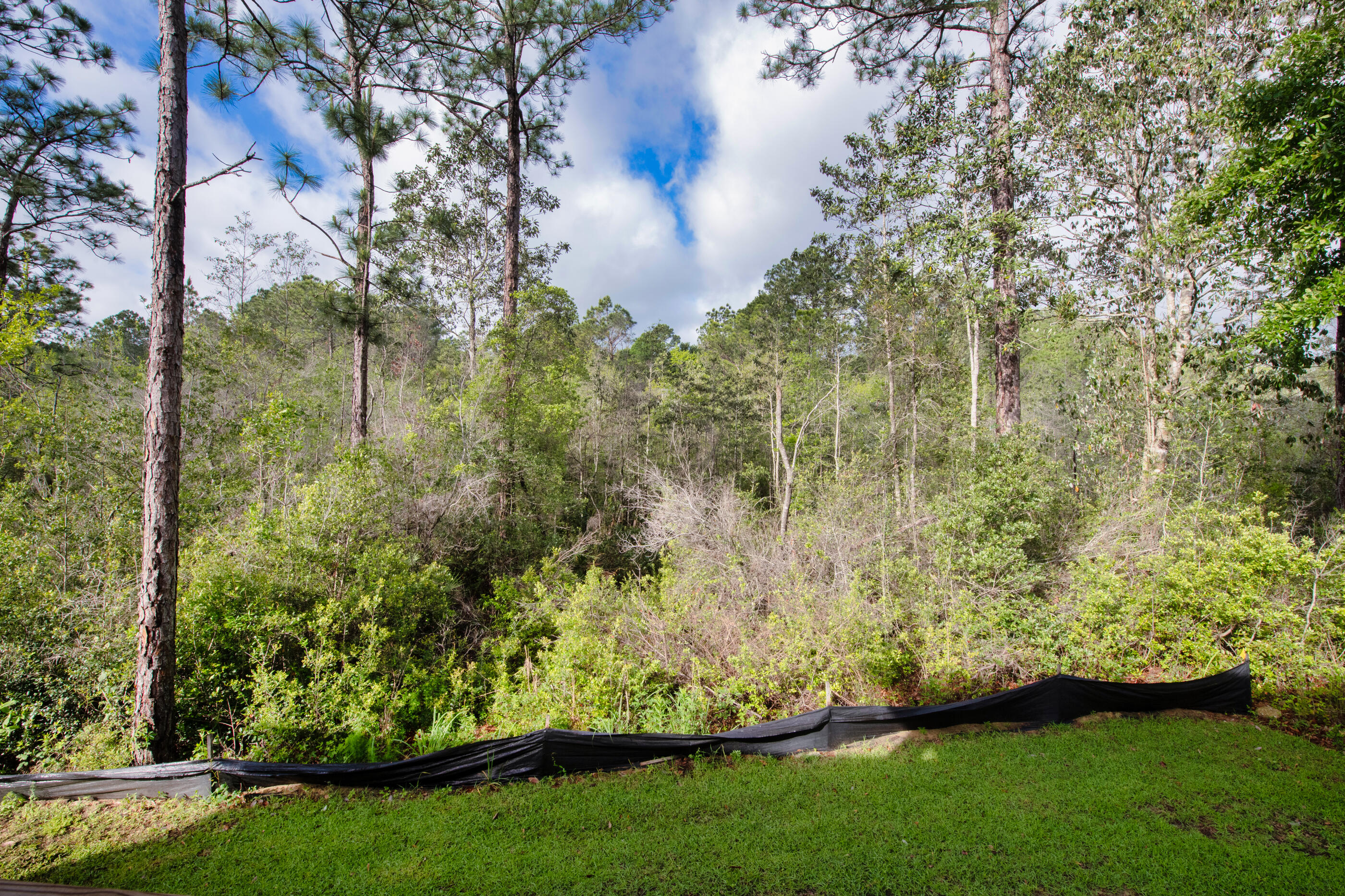 WALSH GLEN ESTATES - Residential