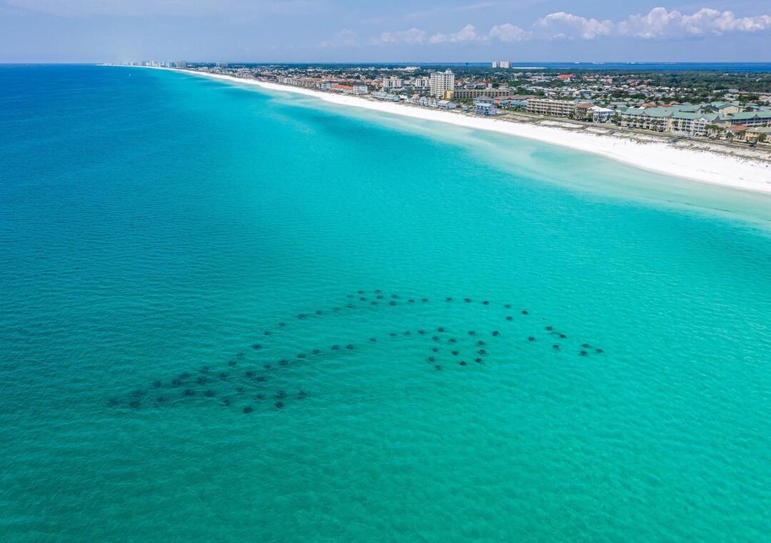 SANDPRINTS CONDO - Residential