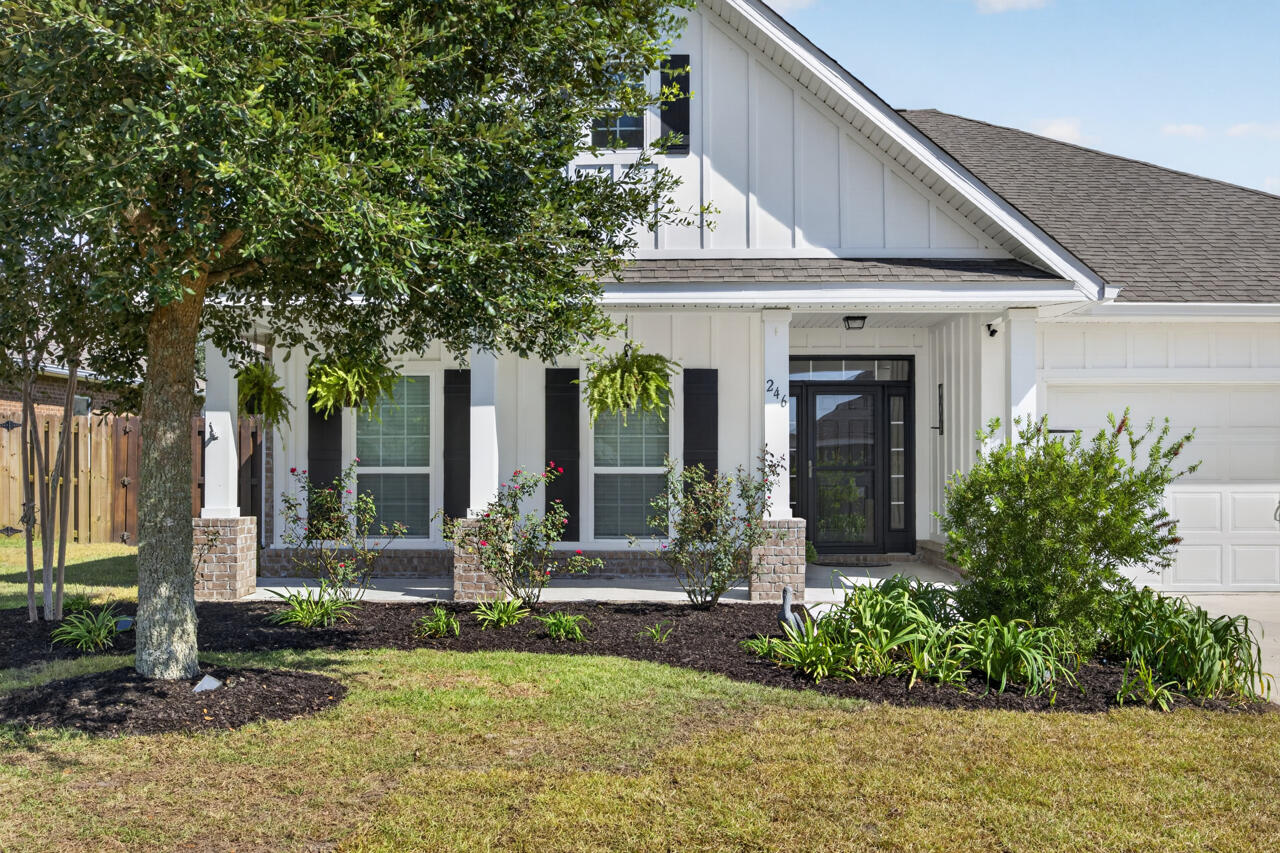 246 Lottie Loop