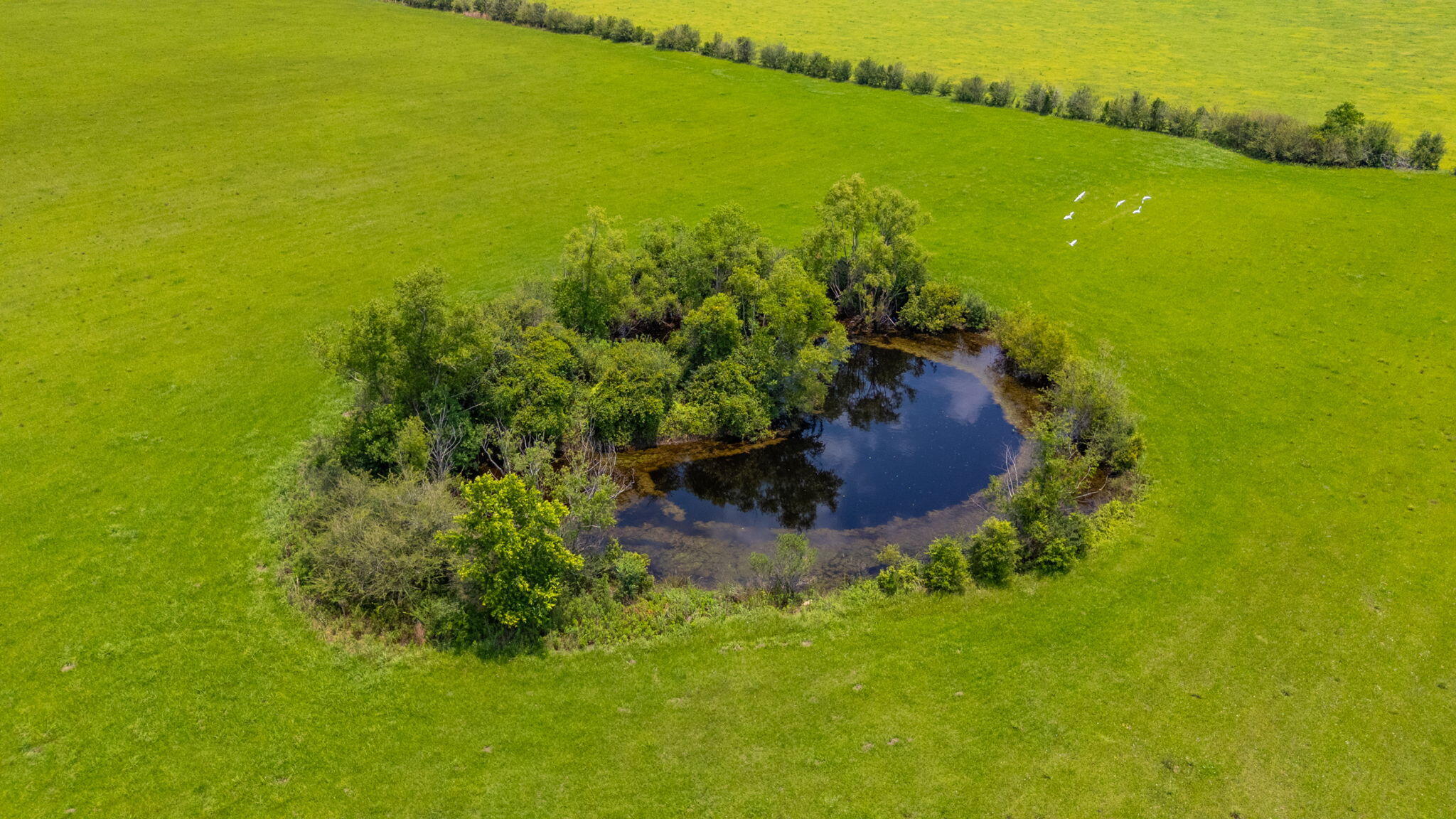 METES & BOUNDS - Land