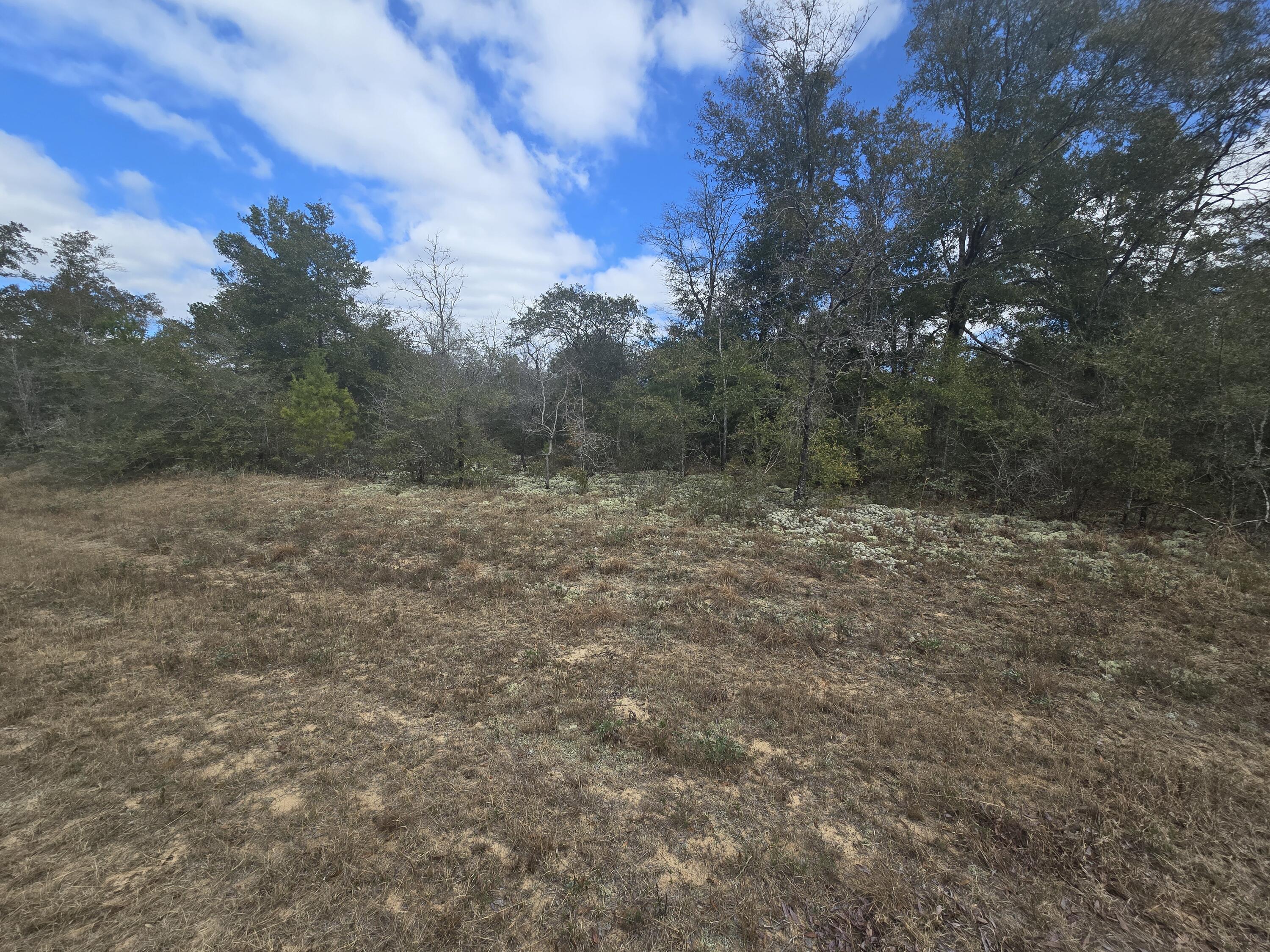 SUNNY HILLS SD - Land