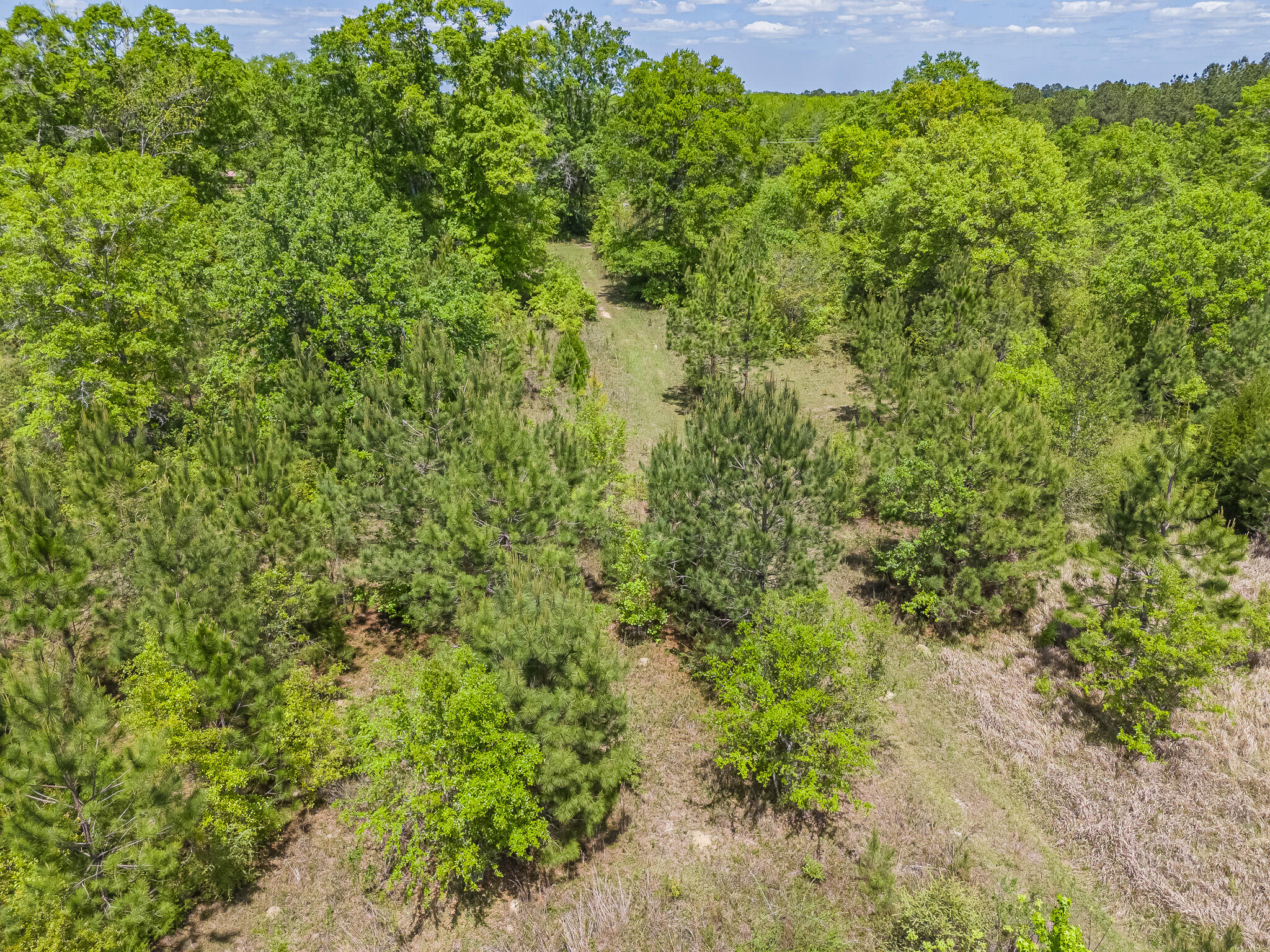 NO RECORDED SUBDIVISION - Land