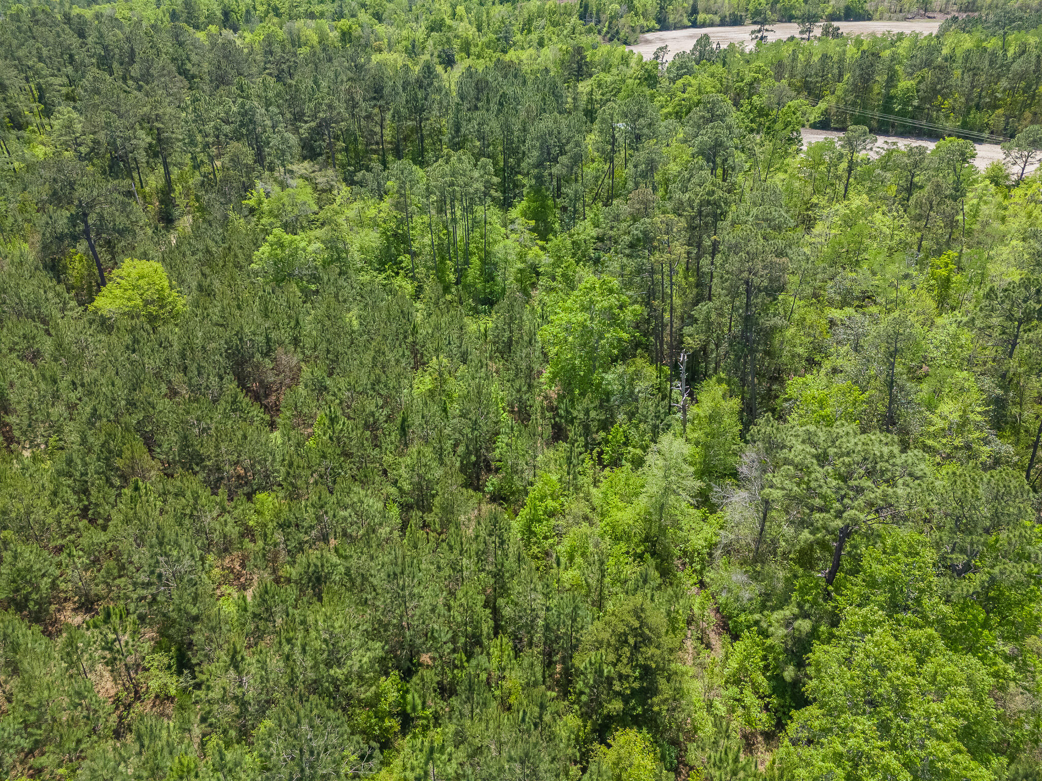 NO RECORDED SUBDIVISION - Land