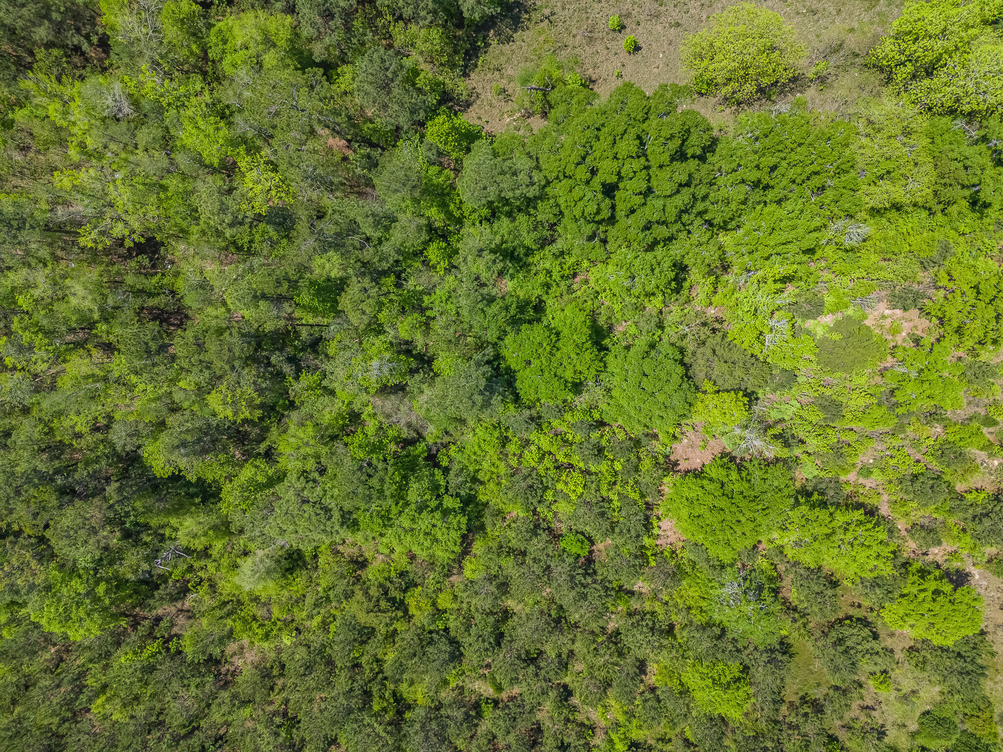 NO RECORDED SUBDIVISION - Land