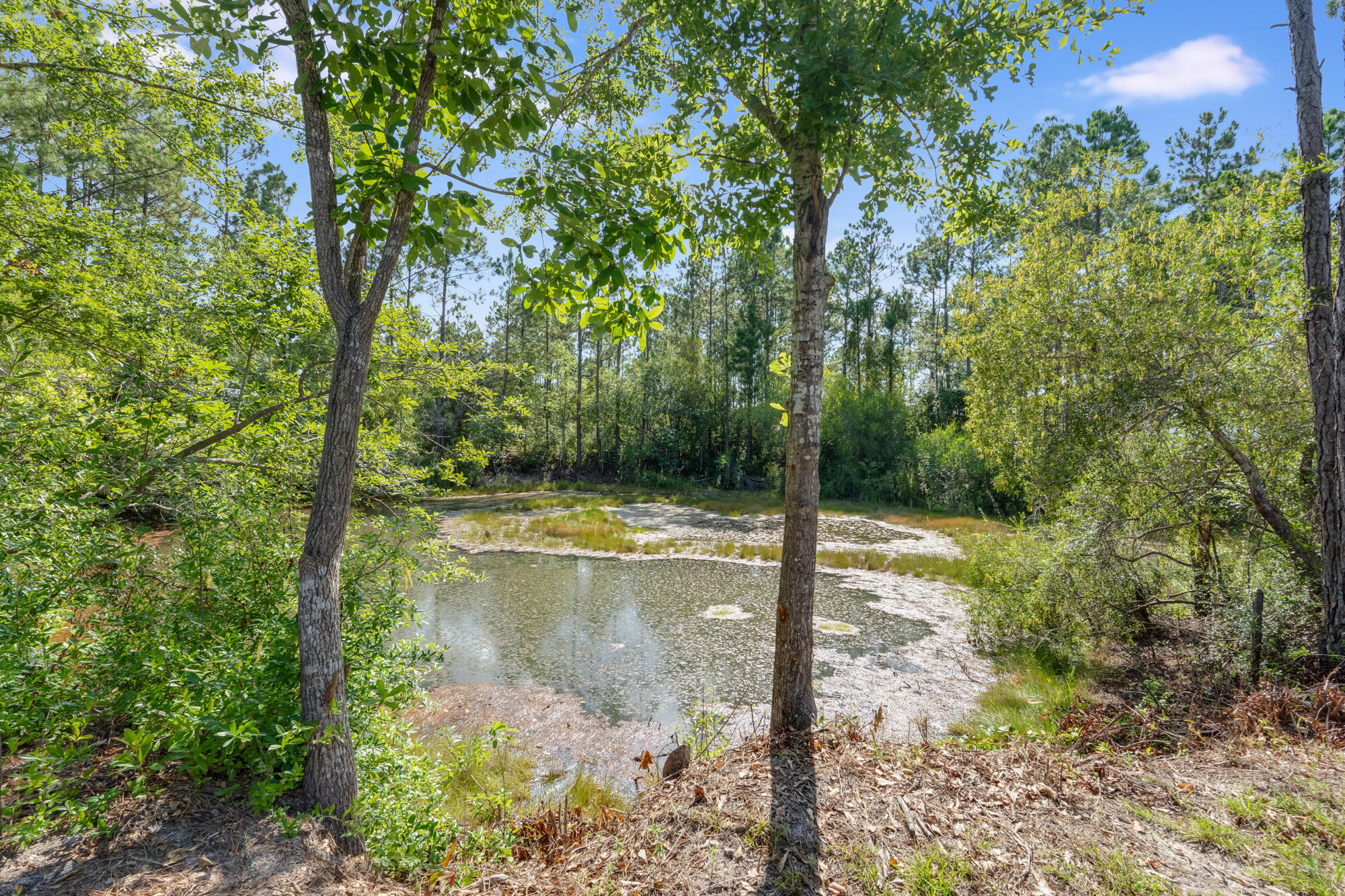 EDEN PARC - Residential