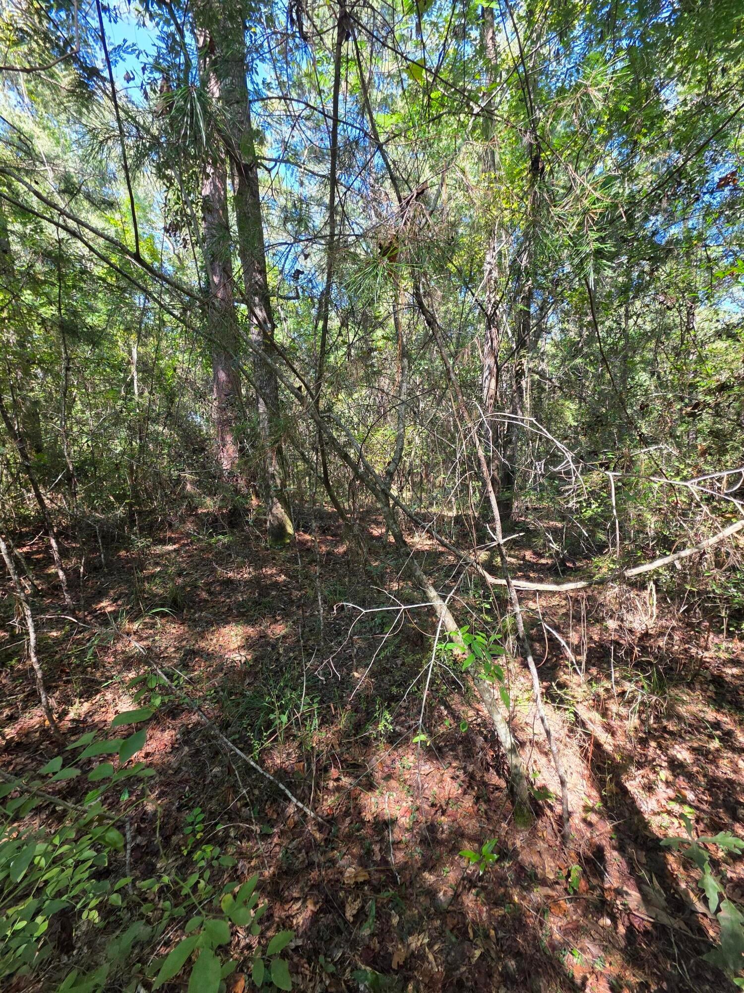 Lot 1 & 2 Antioch Road