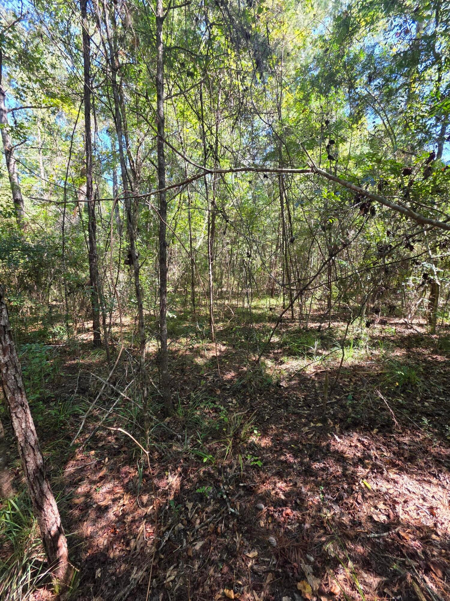 Lot 1 & 2 Antioch Road