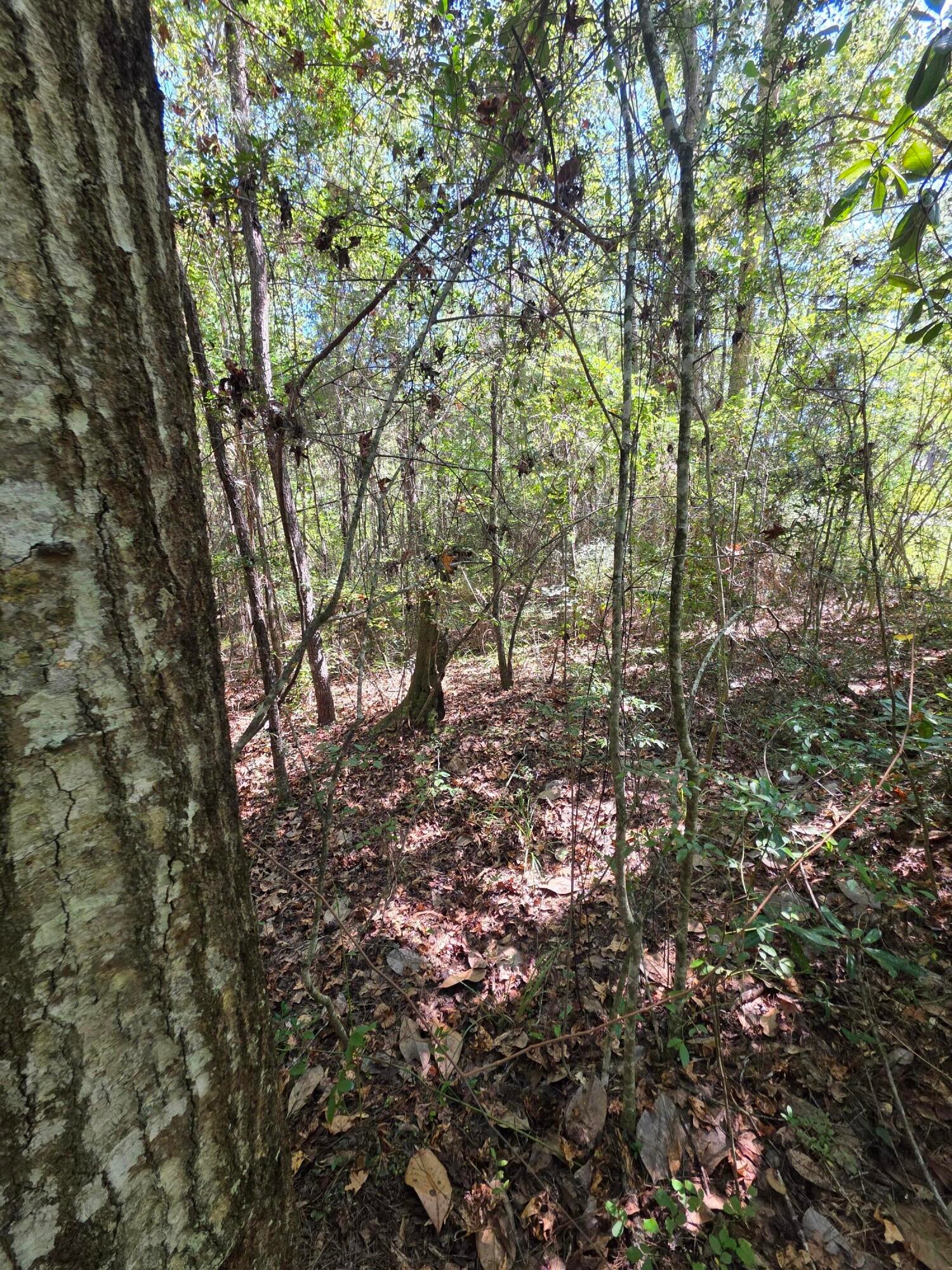 Lot 1 & 2 Antioch Road