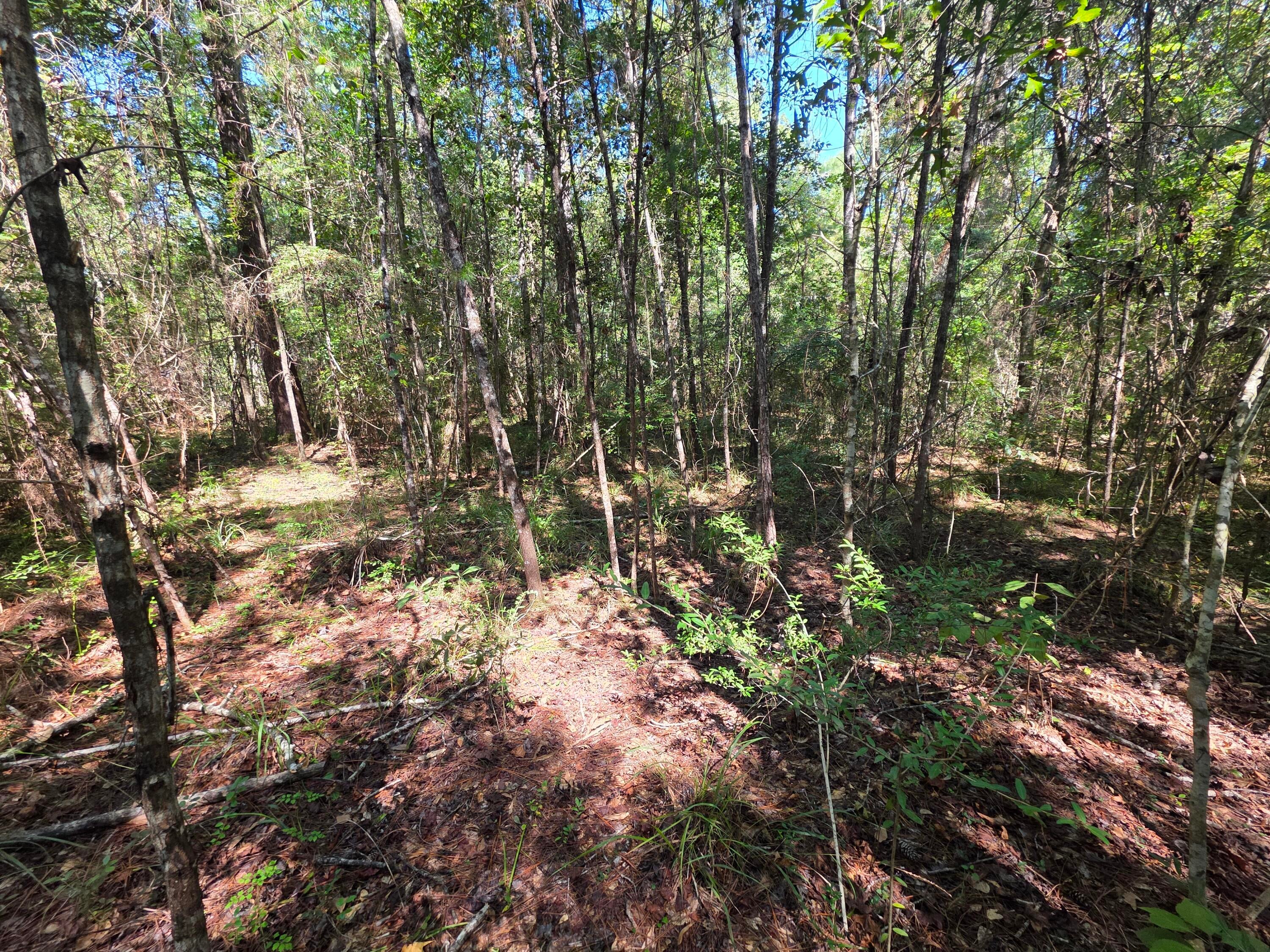 Lot 1 & 2 Antioch Road