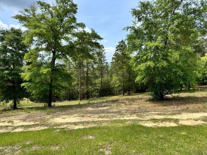 Tucked within the quiet countryside of DeFuniak Springs, this 7.55 acre property presents an opportunity to own a piece of land with space, privacy, and future potential. Surrounded by mature trees and a relaxed rural setting, the property offers a flexible canvas for a variety of possibilities, with the added convenience of paved road access.

Existing structures and utilities are already in place and will convey as-is, making this an appealing option for buyers seeking land with infrastructure already established. Whether you're looking to build, invest, create a private retreat, or reimagine the property entirely, this is a chance to shape the space to fit your vision.
