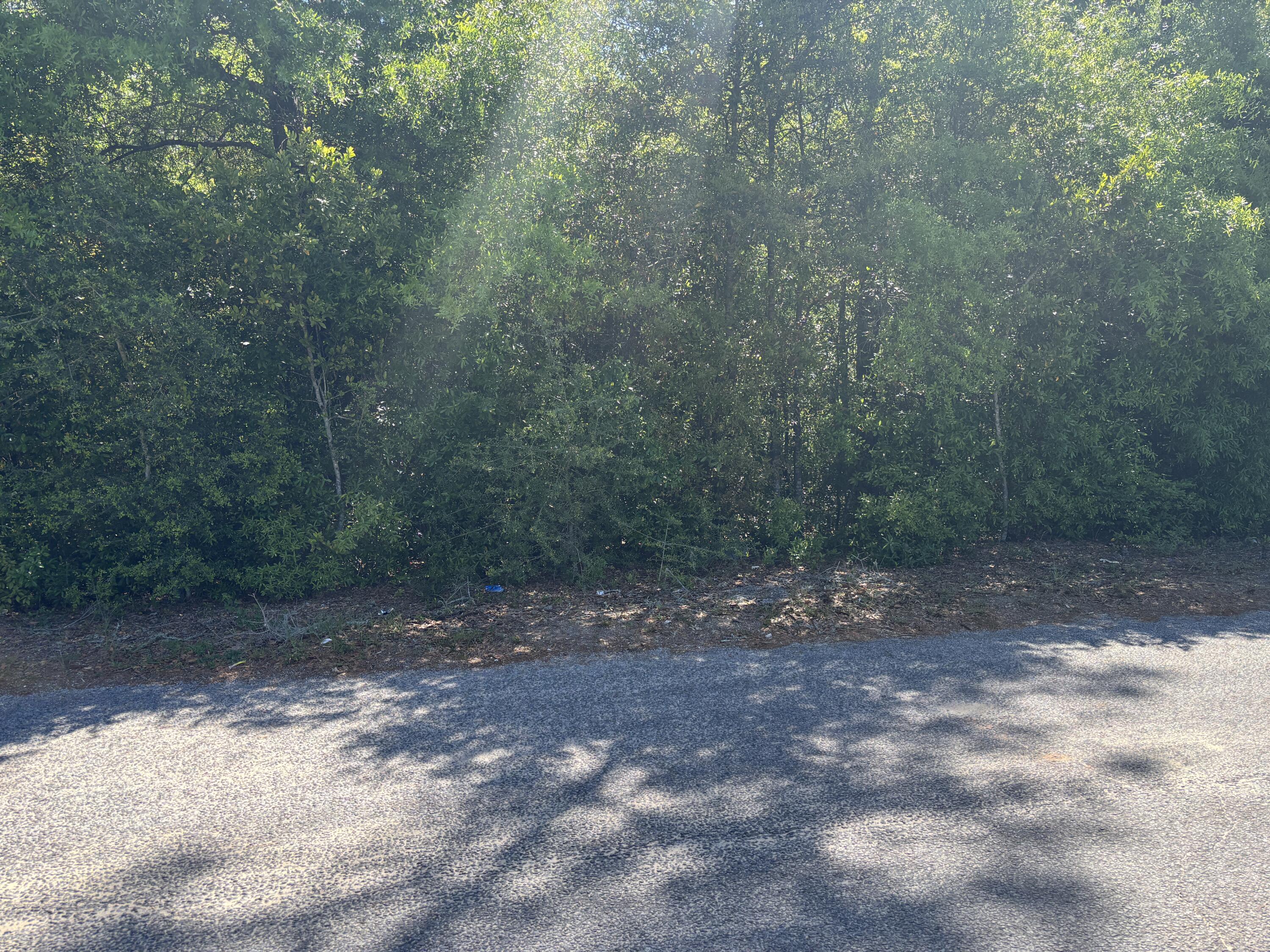 TOWN OF DEFUNIAK SPRINGS - Land