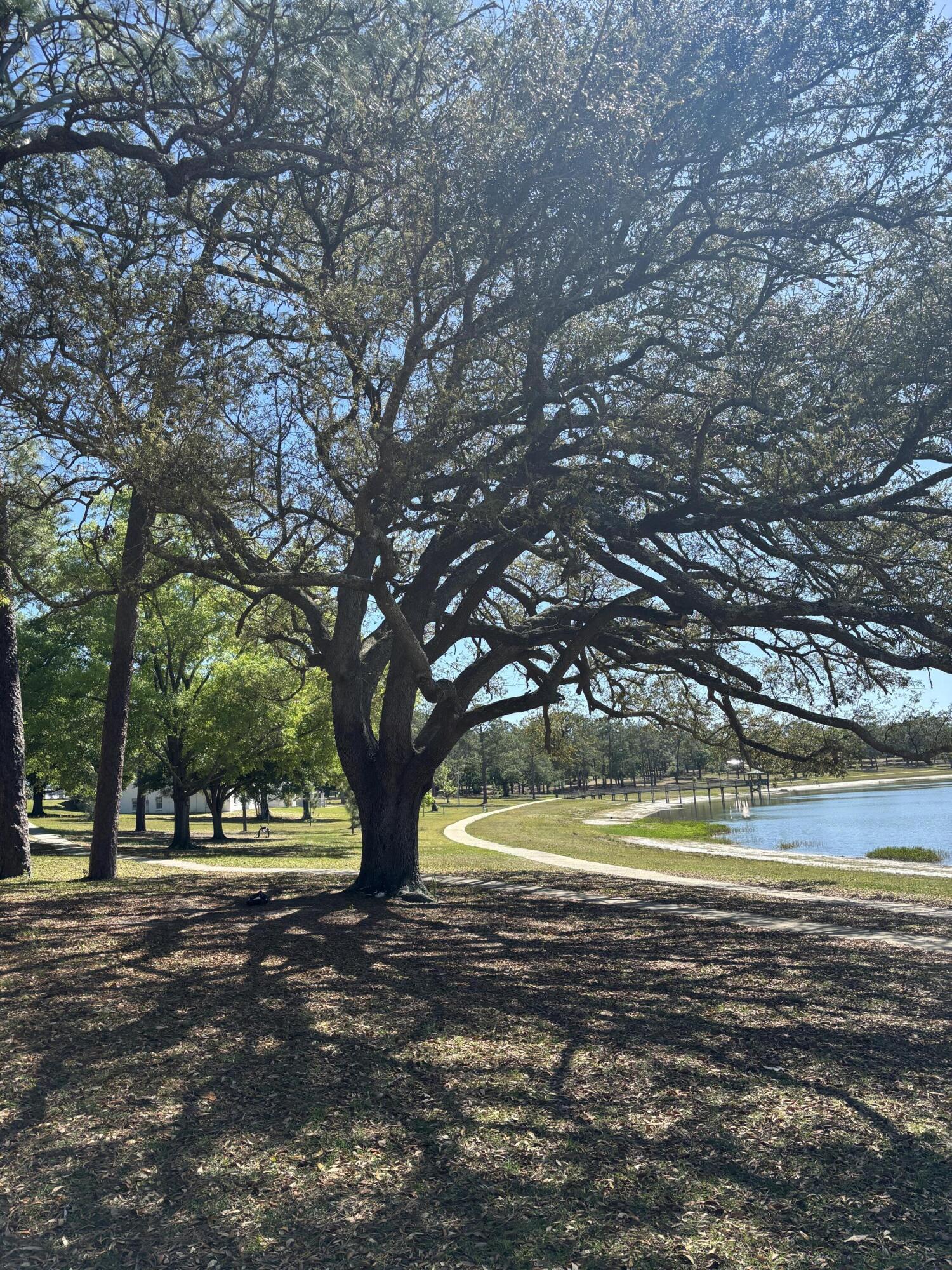 TOWN OF DEFUNIAK SPRINGS - Land