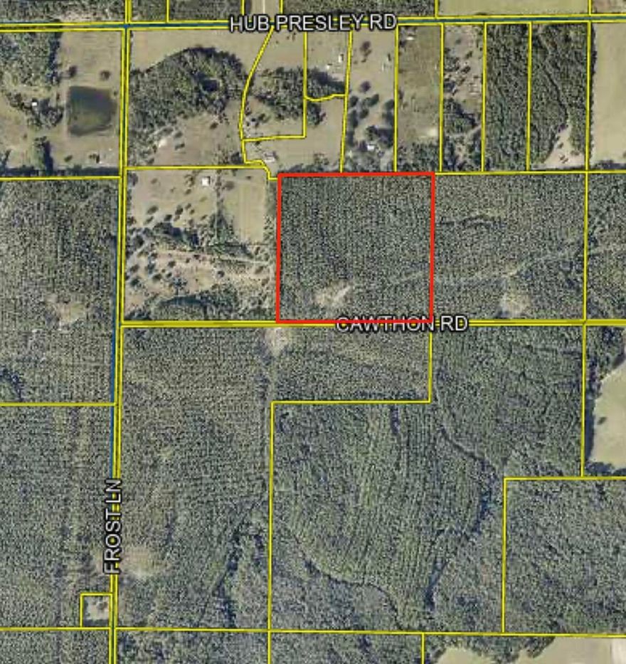 40 Acres of wooded land now available in Northwest Walton!  Adjacent Parcel on the east side also available for a total of 80 Acres.  Marketable timber in place, good hunting area or place to get-away from it all and enjoy a slower pace.  Paved road.  Nice elevation.  Take a look and see if this is your next adventure!