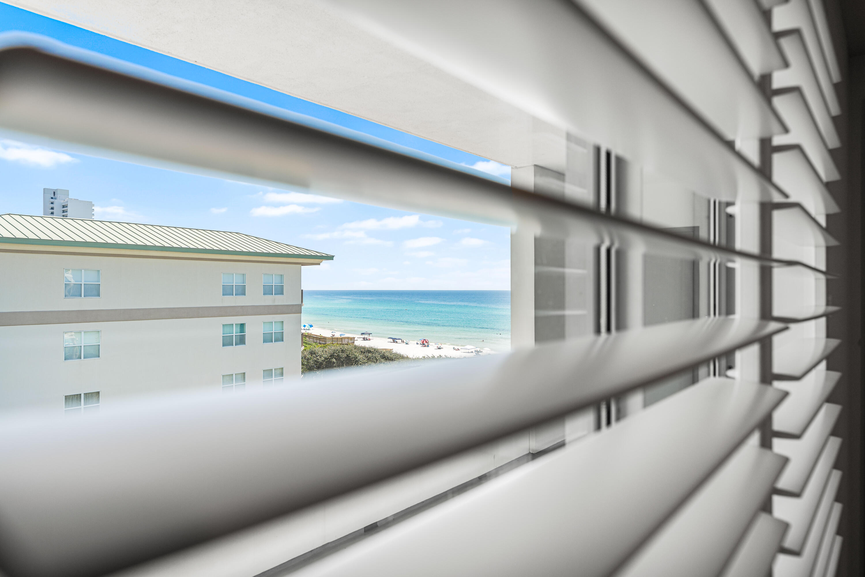 Thirty One - Residential