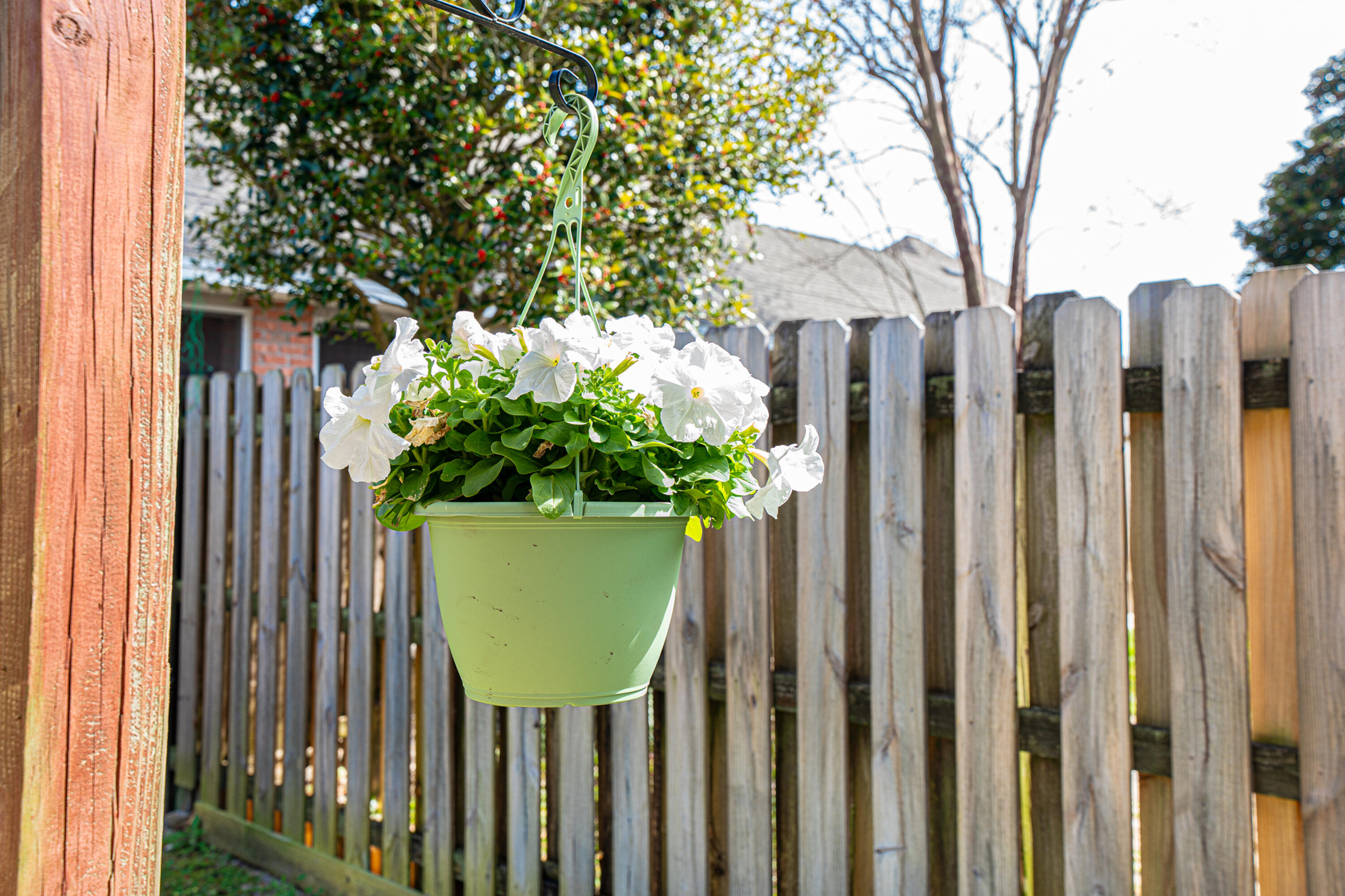 BRIDGEPORT COLONY - Residential