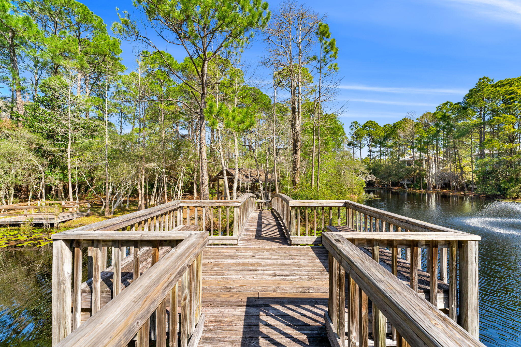 CASSINE GARDENS T/H PH 3 - Residential