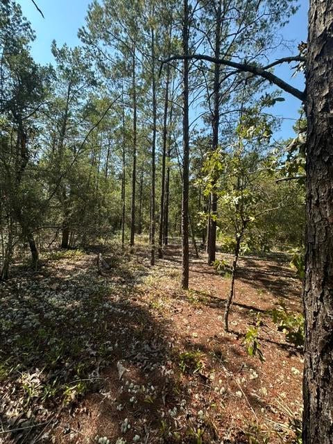 Lot 4 E Buckeye Street