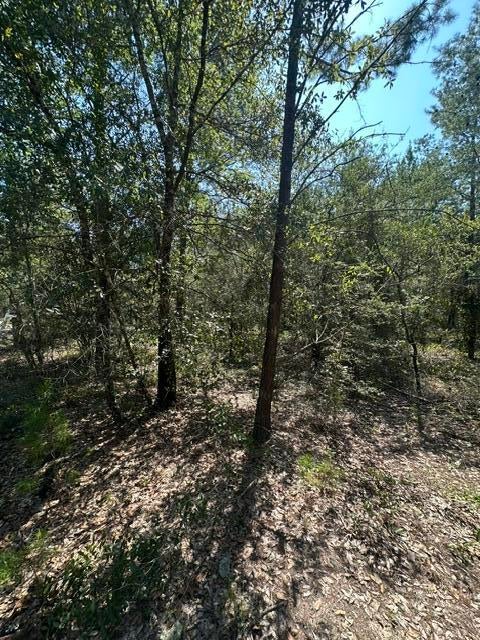 Lot 4 E Buckeye Street
