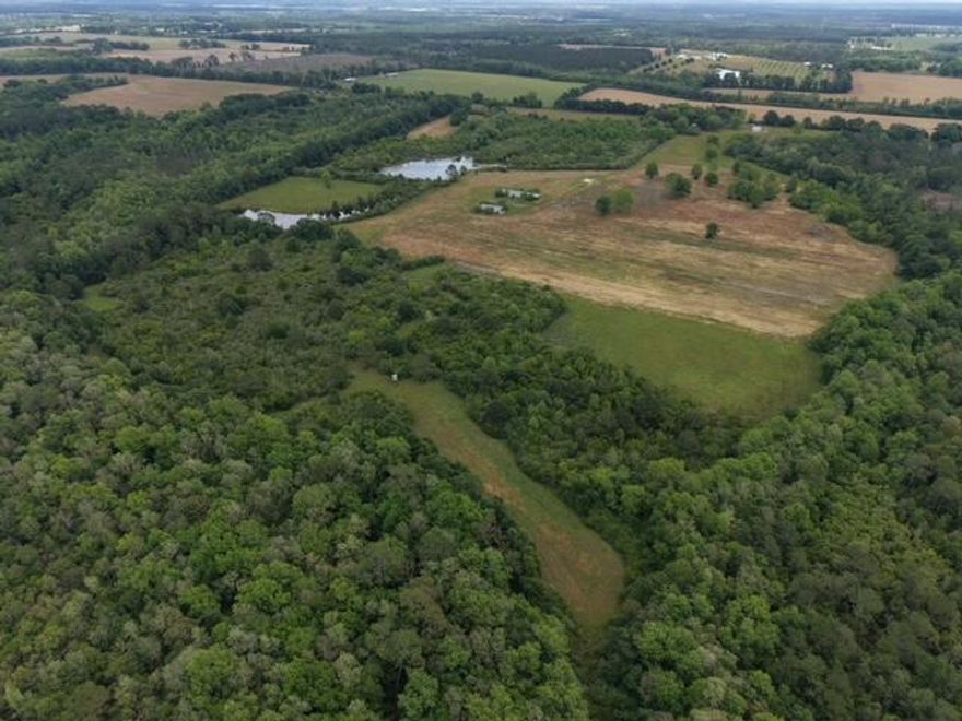 Experience the beauty and privacy of this 226 acre country estate while being under an hour's drive to the beaches of South Walton and Destin-Fort Walton Beach Airport. Approximately 50 acres in open fields, with the balance in hardwood and creek bottoms, this property offers a multitude of uses whether you seek a weekend retreat or a full-time residence. Previously a working horse farm, the property is perfect for animals offering several barns and up to 21 horse stalls. If you prefer hunting and fishing, you will appreciate the two beautiful ponds stocked with bass and the four food plots, which include enclosed shooting houses. Long Creek, a beautiful clear water system that crosses Hwy 2 just west of Walden Lane, flows through the lower end of the property and forms a unique and spectacular hardwood bottom that remains untouched and natural. The home was completely remodeled in 2015, offering four bedrooms plus a bunk room, hand-scraped laminate wood flooring throughout, stainless steel appliances, all wood cabinets, granite countertops and new plumbing fixtures in the kitchen and bathrooms. The large laundry room and mud room offer plenty of storage and access to the three-bay attached carport.  Enjoy sunset views over the grove of pecan trees from the front porch or retreat to the expansive screened back porch. The conveniences of shopping, dining and hospitals/medical facilities are just a short drive away in DeFuniak Springs, Crestview and Florala.