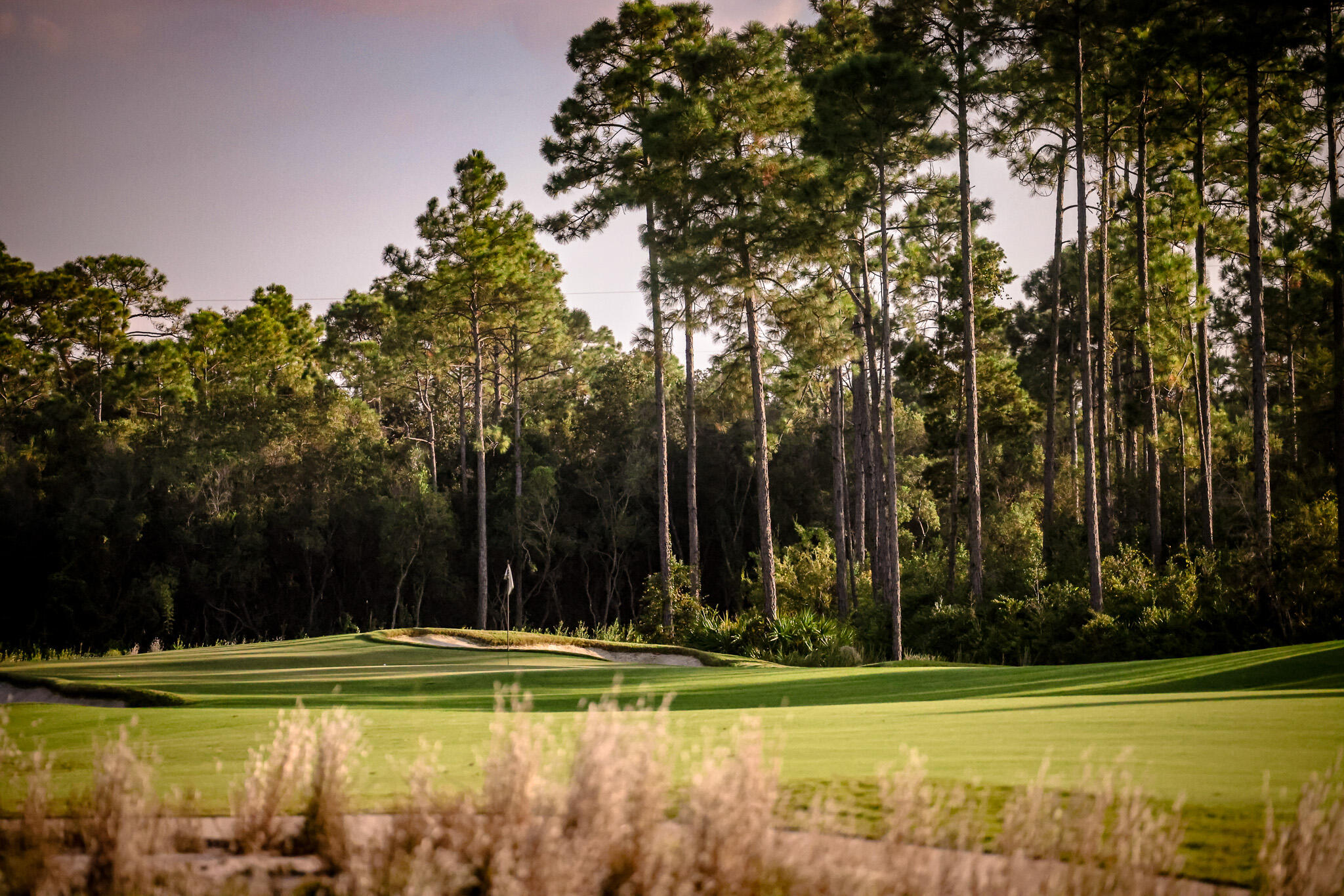 WILD HERON - Residential