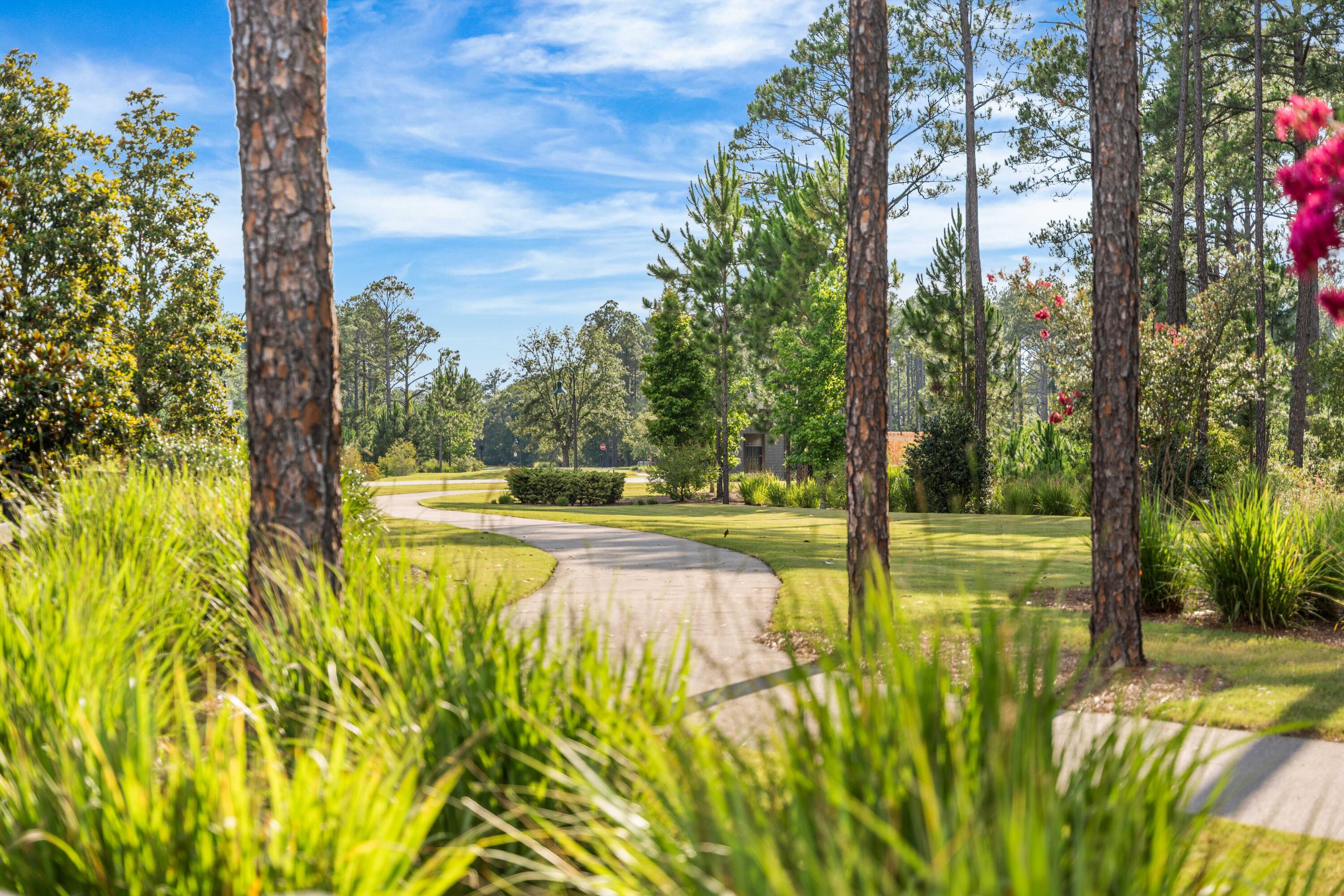 Hammock Bay - Residential