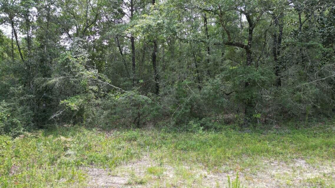 SPRING HILL ESTATES - Land