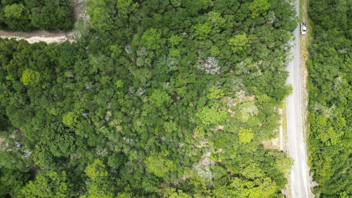 SPRING HILL ESTATES - Land