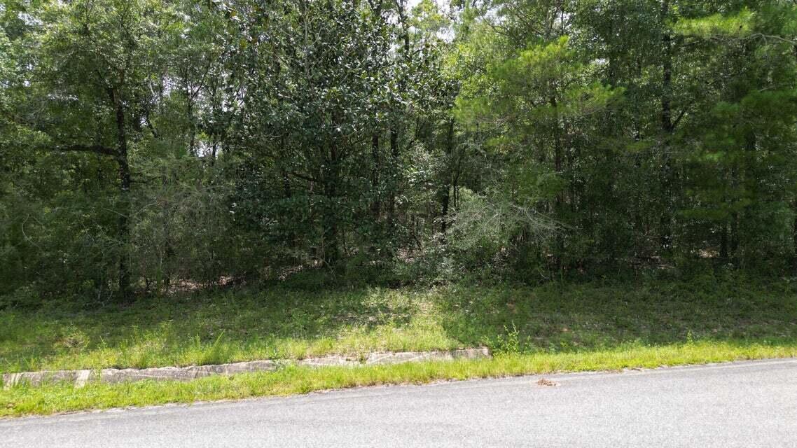 SPRING HILL ESTATES - Land