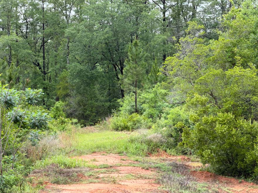 Beautiful 7.37 acres  adjacent to the Blackwater Forest. Partially cleared. Come build your dream home  on this pristine piece of land in rural Baker.
