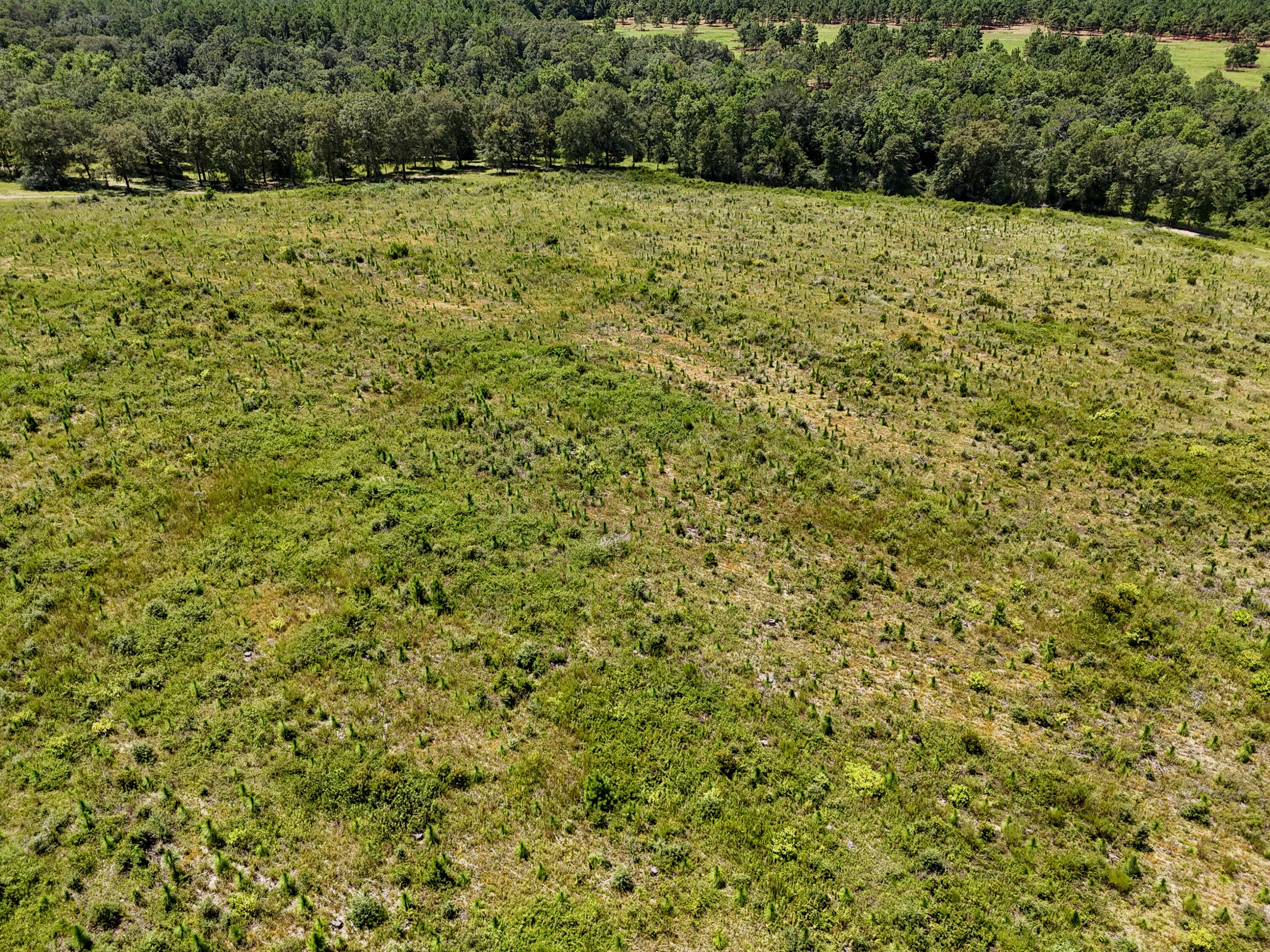 10 Acres A Co Hwy 2A Road