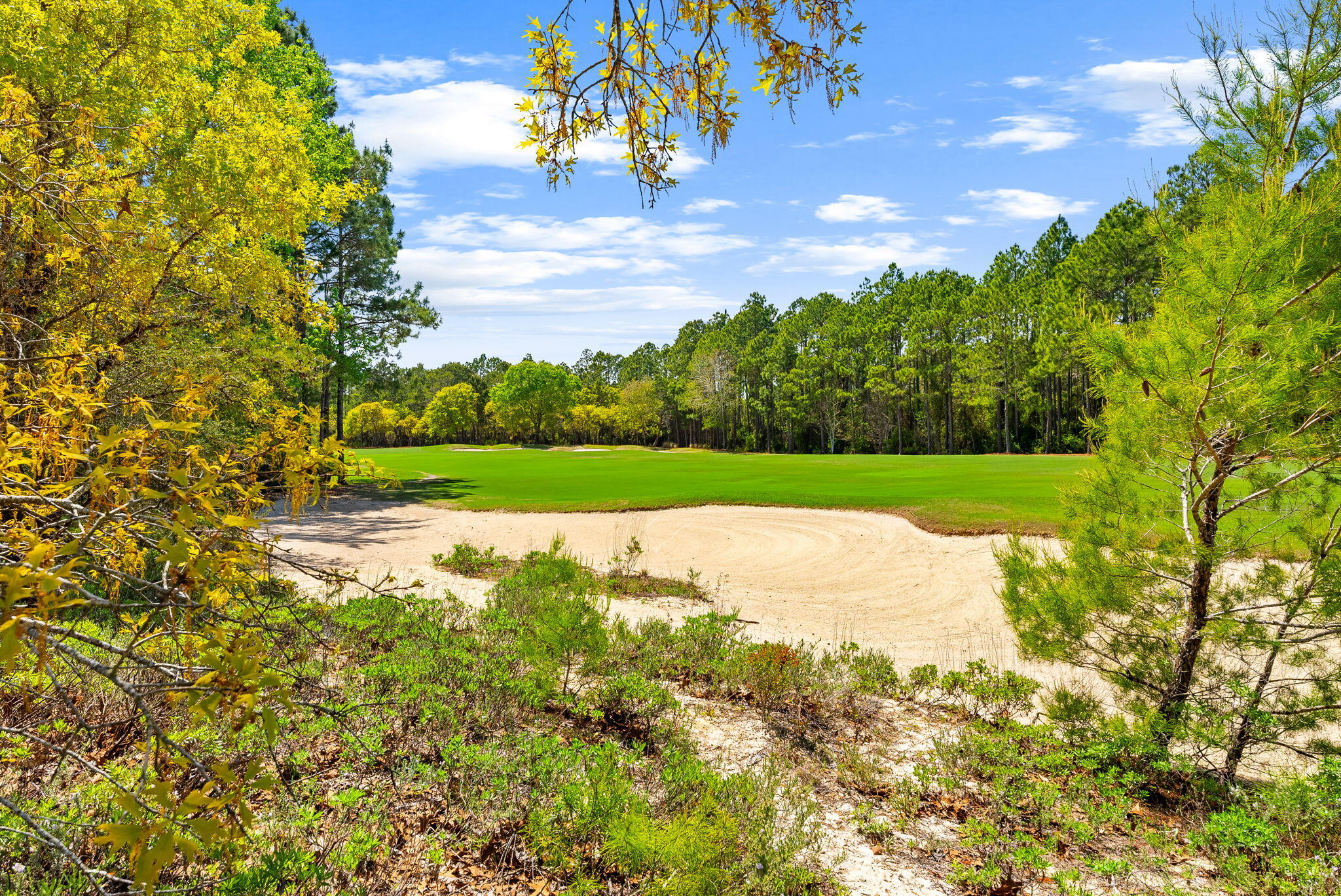 WILD HERON PHASE I - Residential