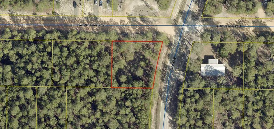 Nice, level corner lot located in Mossy Head offering excellent accessibility to I-10 and Hwy 285 - ideal for commuters and those seeking a convenient location. The spacious vacant parcel provides a great opportunity to build your custom home or place a manufactured home. With it's desirable corner positioning and easy access, the property is ready for your vision. Buyers to verify all areas of importance.