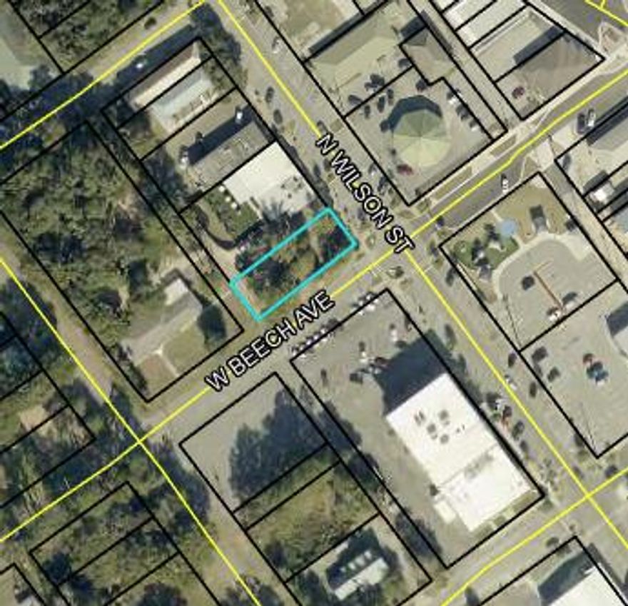 Prime Development Opportunity-Downtown Crestview CRA District
This is a rare opportunity for investors and developers seeking flexibility, incentives, and a strategic location.
Key Highlights:
•Maximize Your Build: Favorable CRA guidelines allow for maximum use of square footage
•Development-Friendly: Reduced constraints on parking requirements, stormwater management, and site limitations
•Grant Incentives: Potential eligibility for up to $100,000 in grant funding
•Walkable Downtown Location: Positioned in a growing, pedestrian-friendly area with strong community activity
•Government Hub Proximity: Conveniently located near the Okaloosa County Tax office and courthouse
Important: Buyers are responsible for verifying all pertinent details

Note: Listing agent owns interest in property