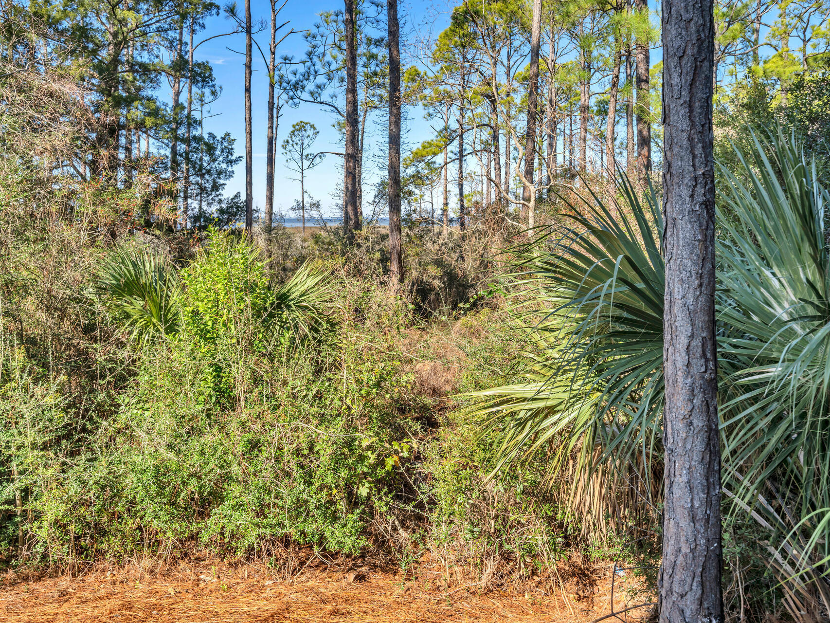 LASATA - Residential