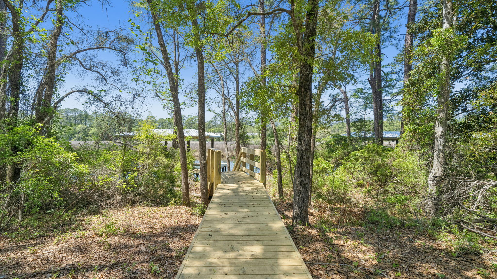 Holley Grove at Peach Grove - Residential