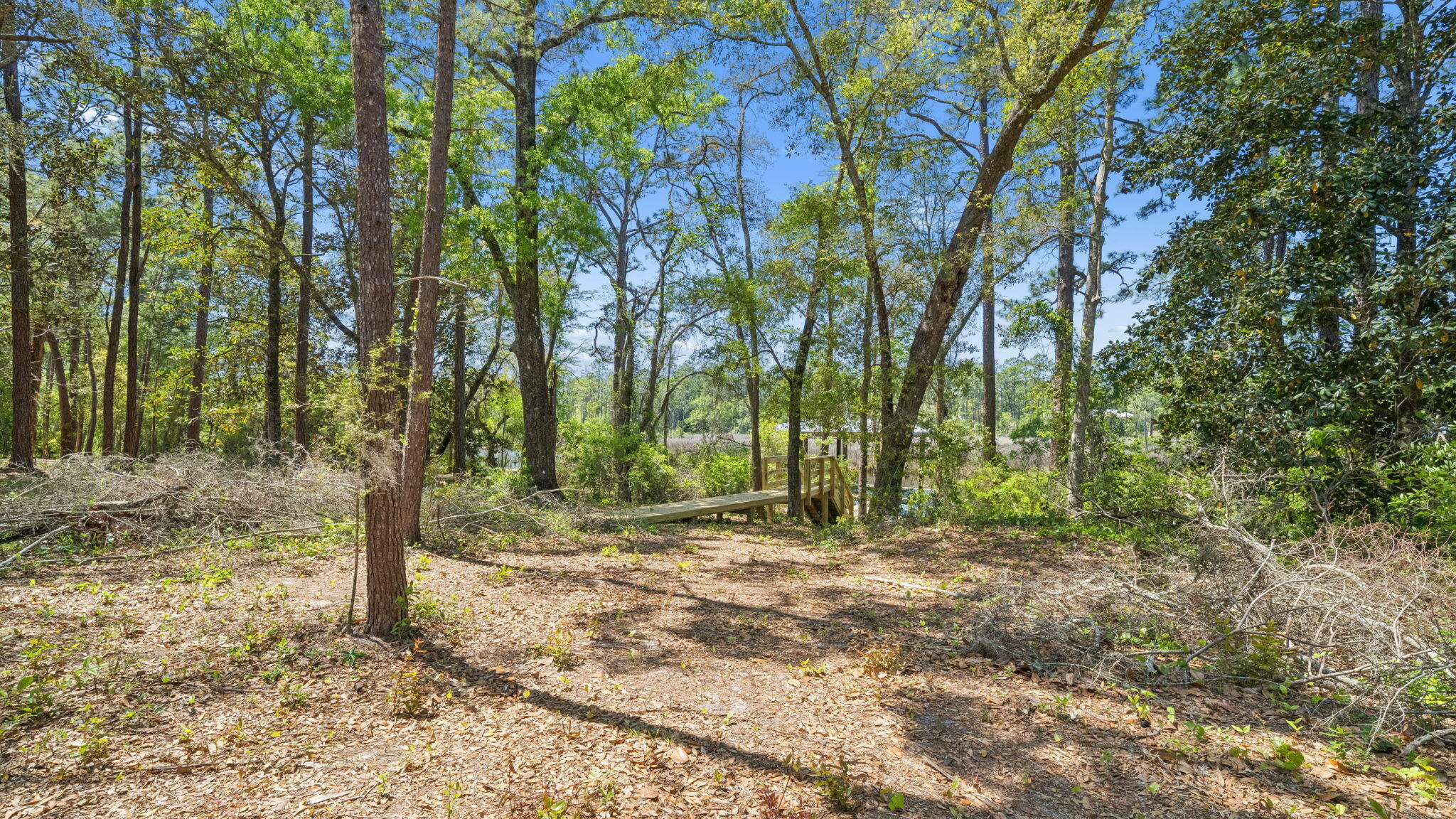 Holley Grove at Peach Grove - Residential